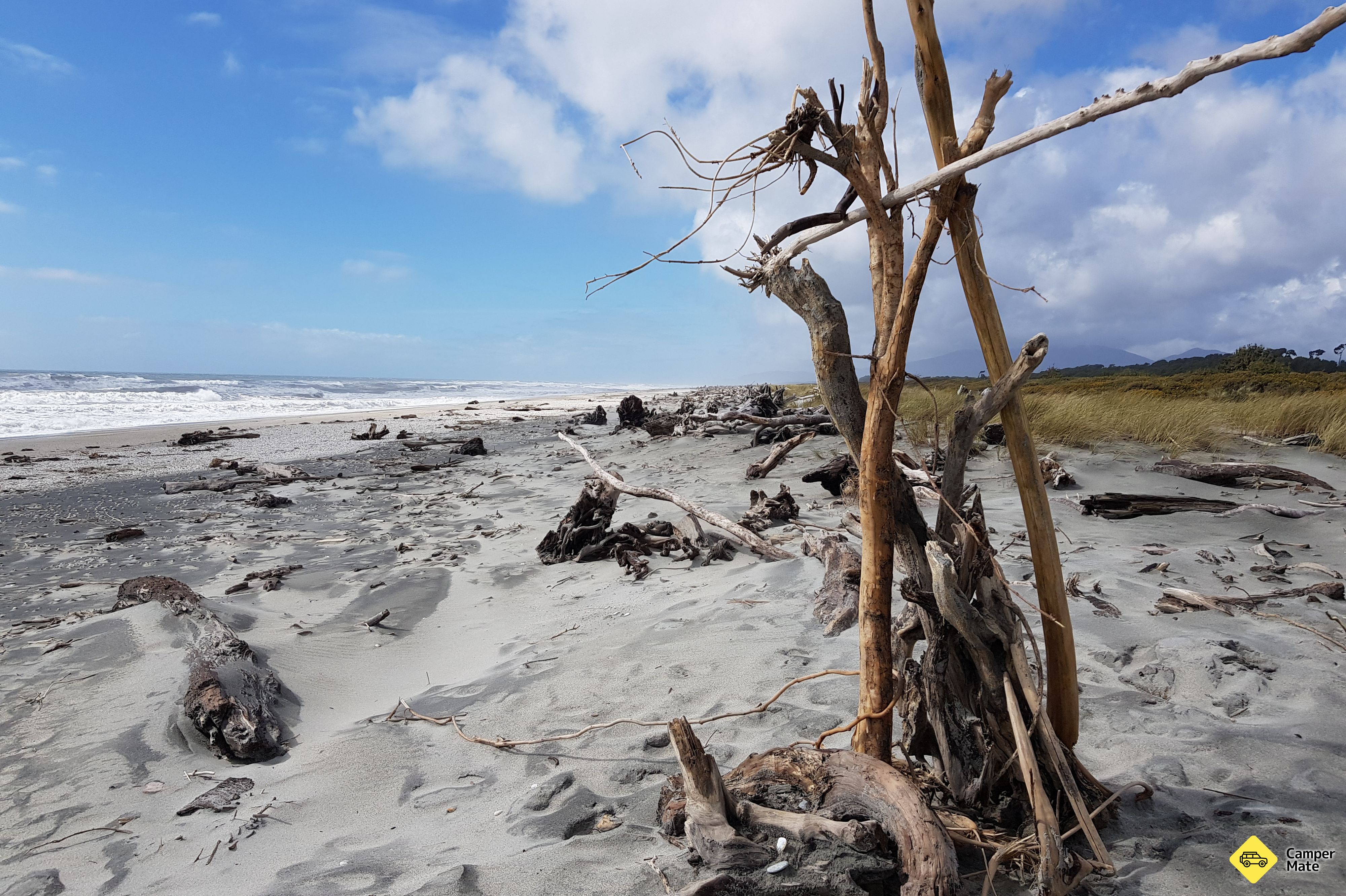 Snel strand - Image 3
