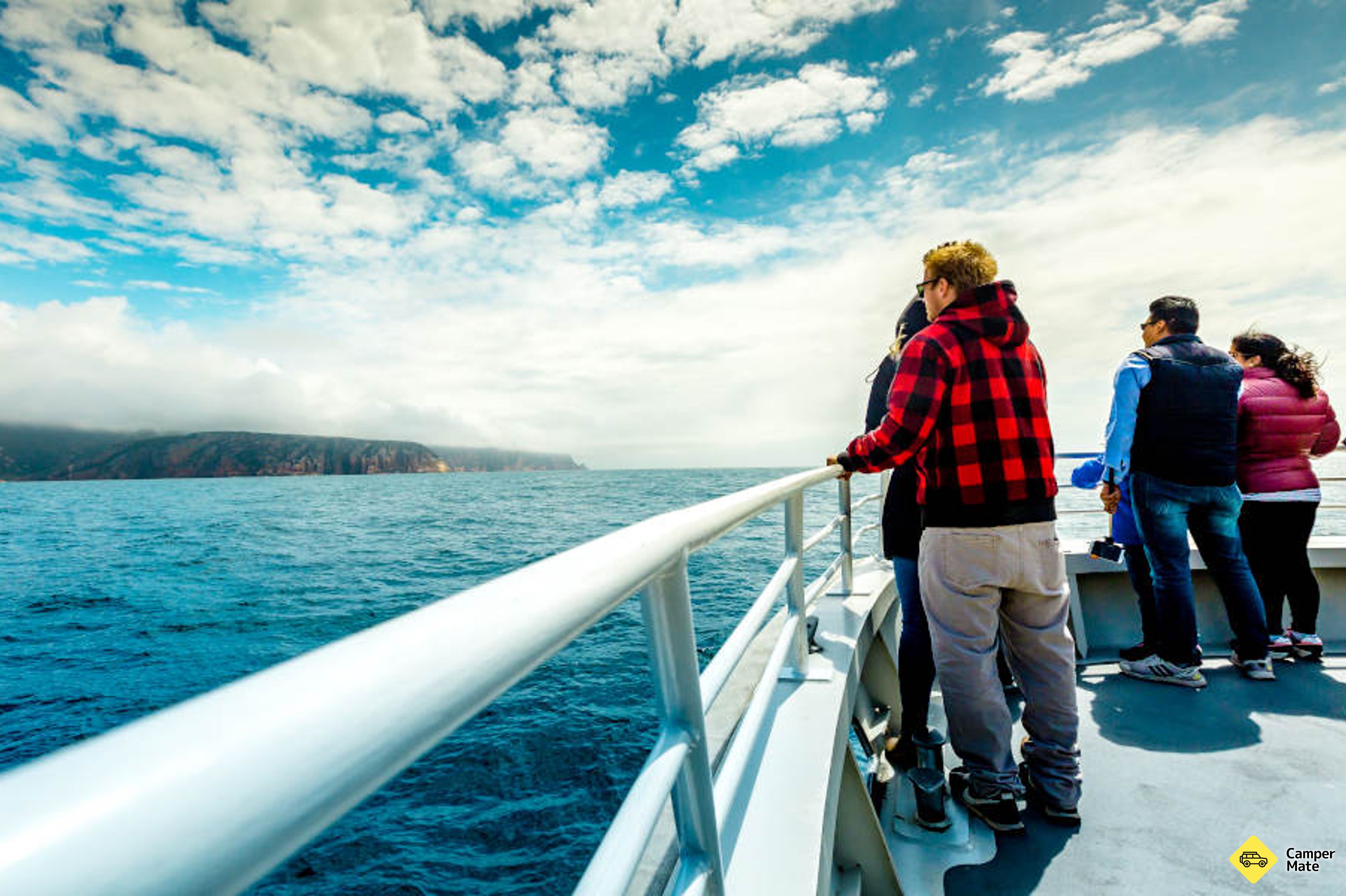 Les anmeldelser av Bruny Island Wilderness Cruise - Image 2