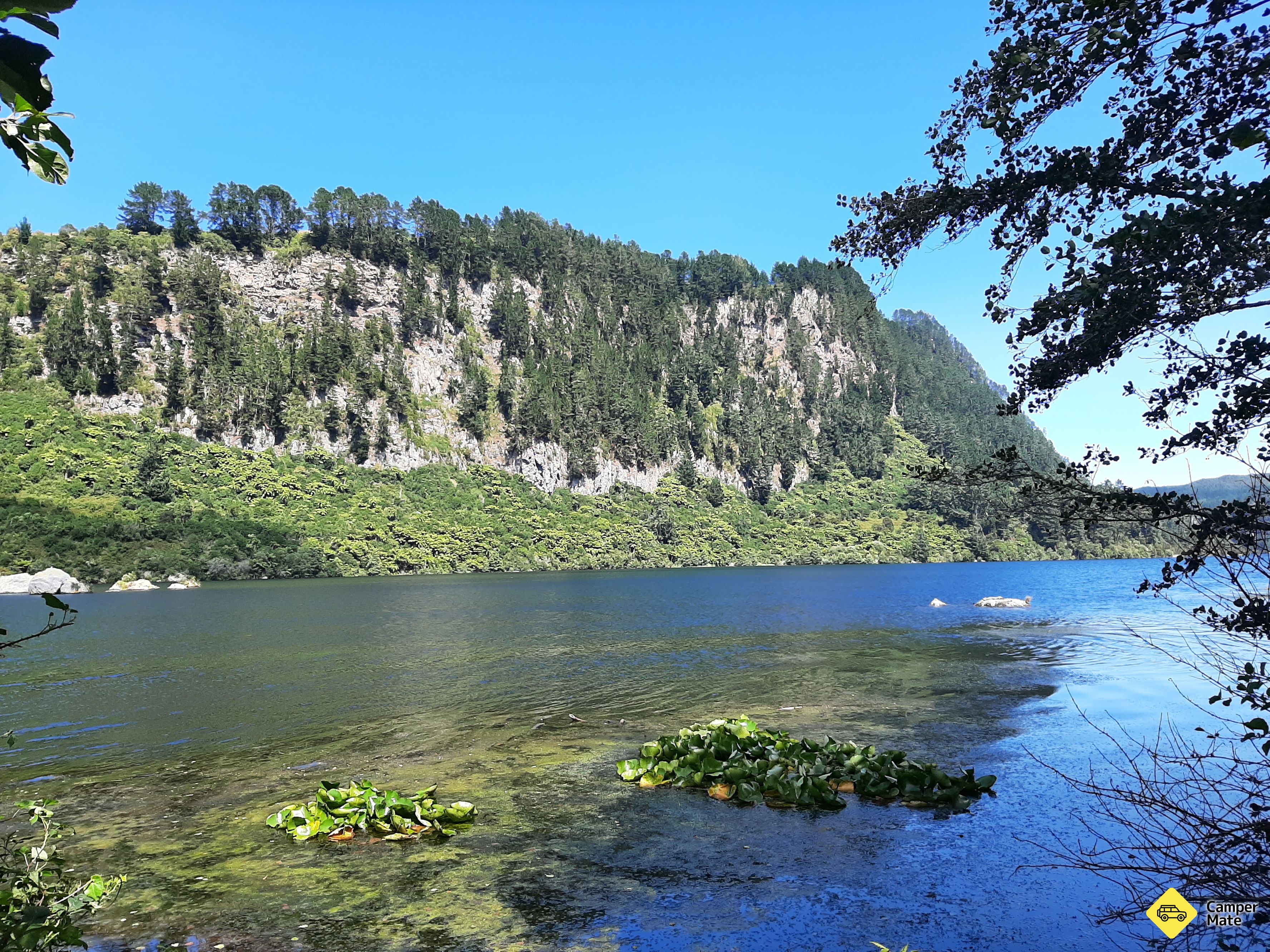 Dunham Point Reserve - Image 2