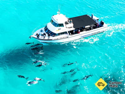 Wycieczki Esperance Island