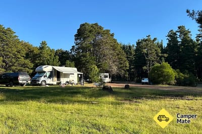 Dalys Clearing Campground in het Belanglo State Forest