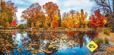 Les jardins de Queenstown