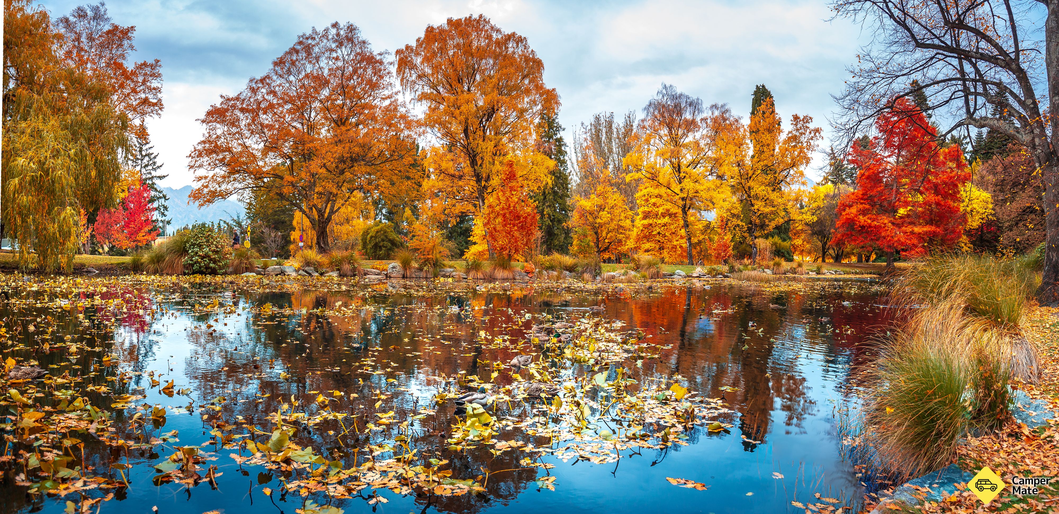 Les jardins de Queenstown