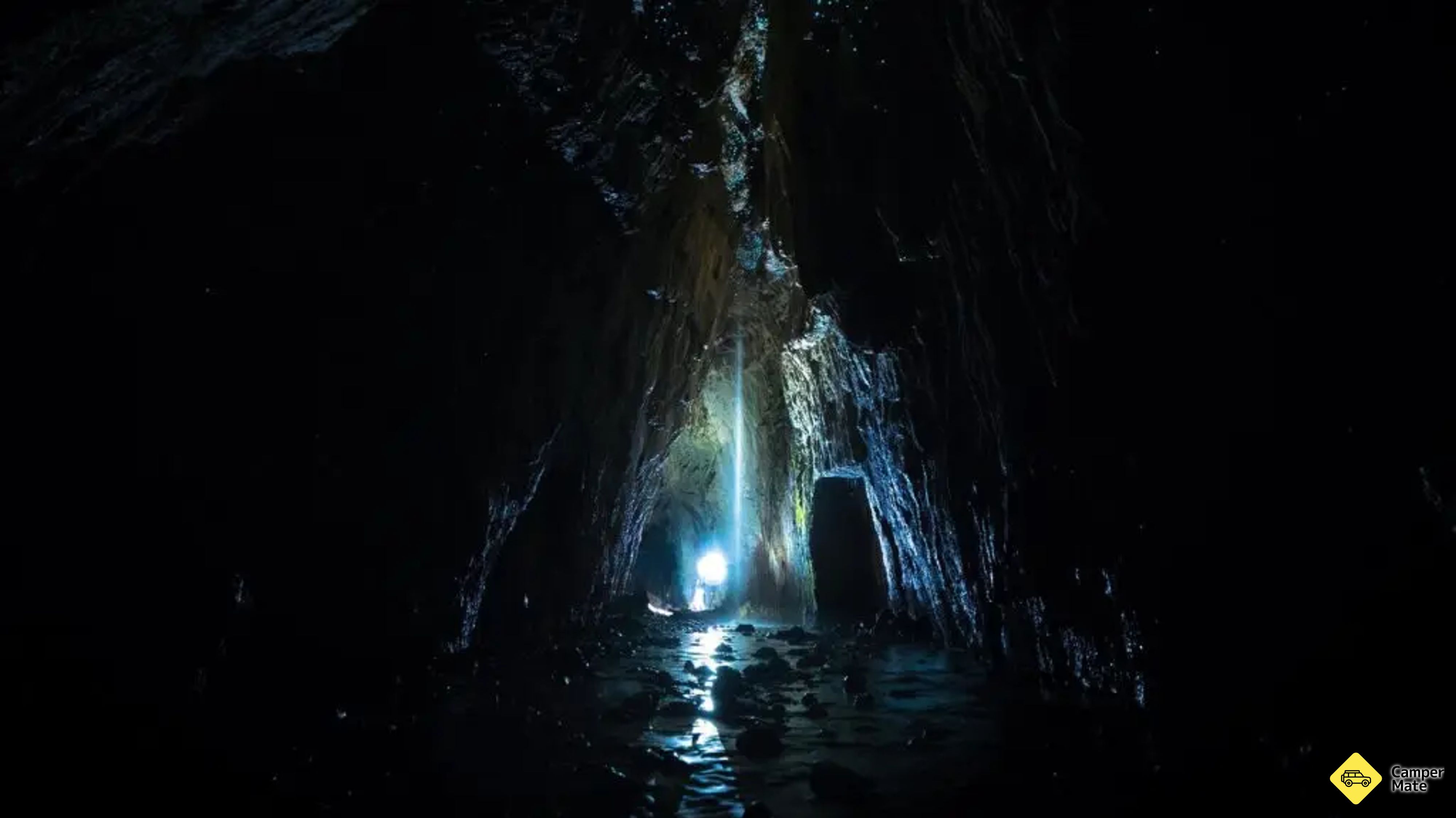 Apiti Limestone Caves & Glow Worms