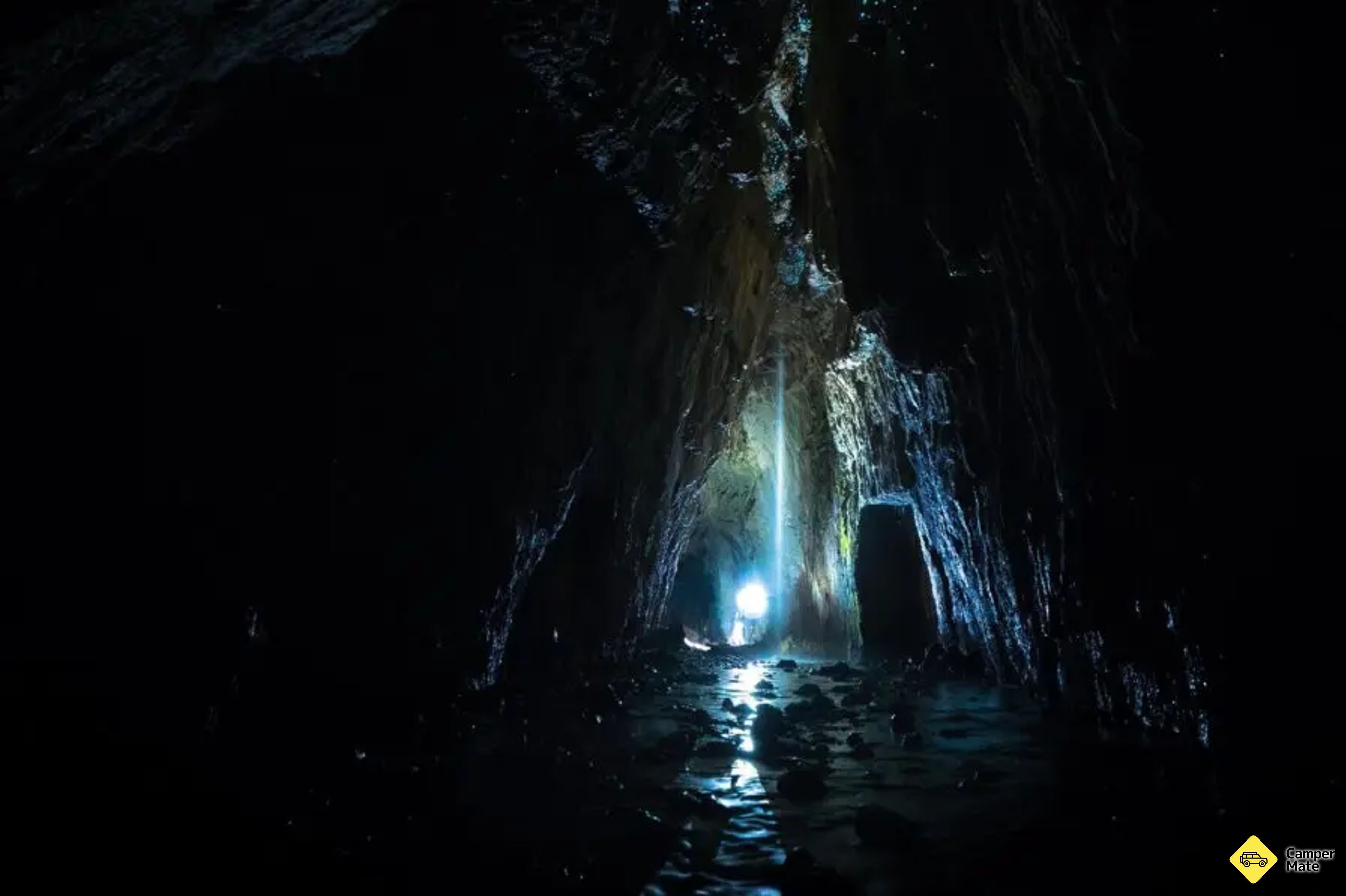 Apiti Limestone Caves & Glow Worms