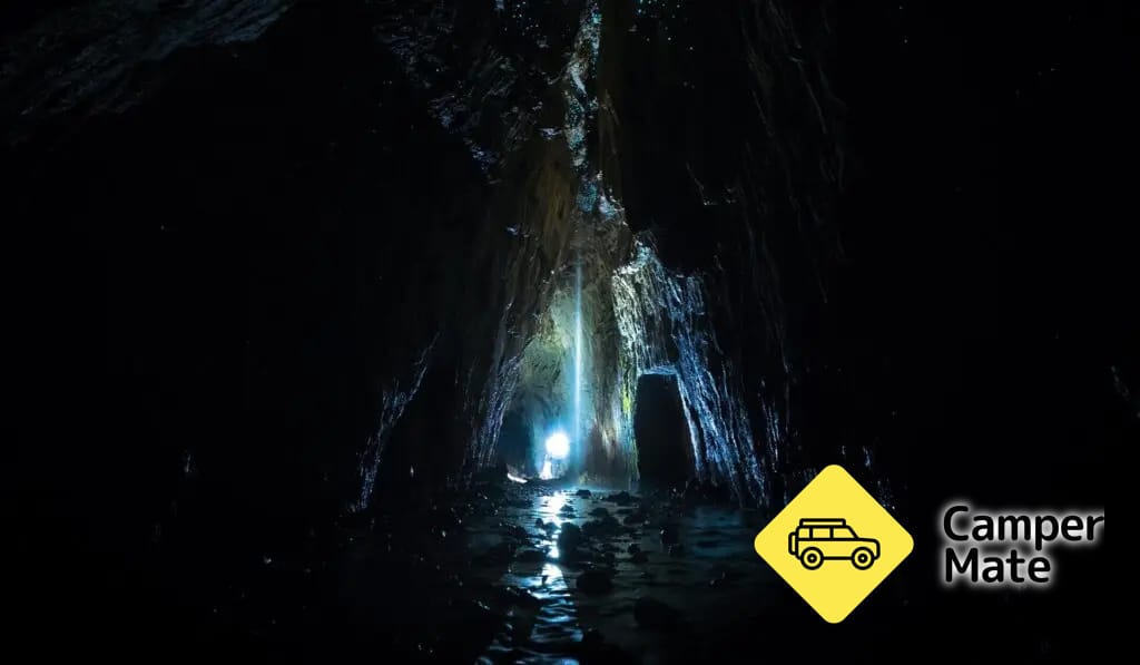 Apiti Limestone Caves & Glow Worms