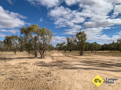 Thargomindah east Camping Area