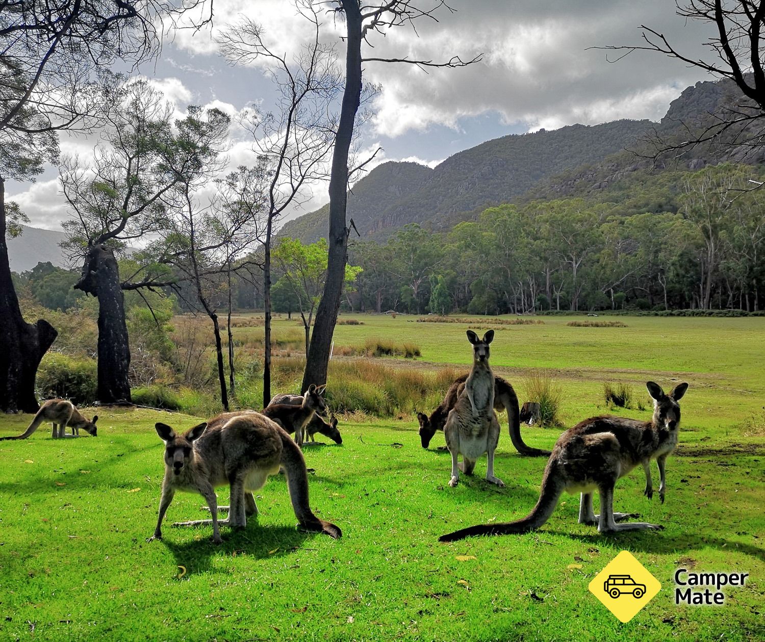 Halls Gap Lakeside Tourist Park - Image 2