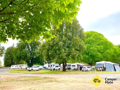 Parc de Caravan Molong