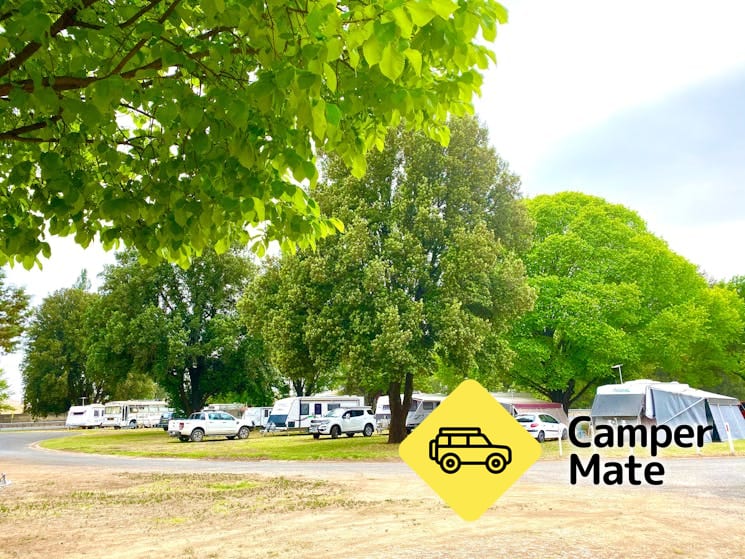 Molong Caravan Park