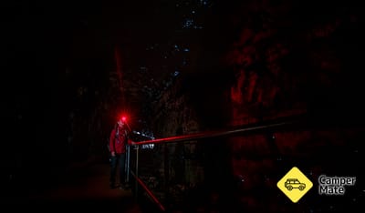 Glow Worm Tunnel