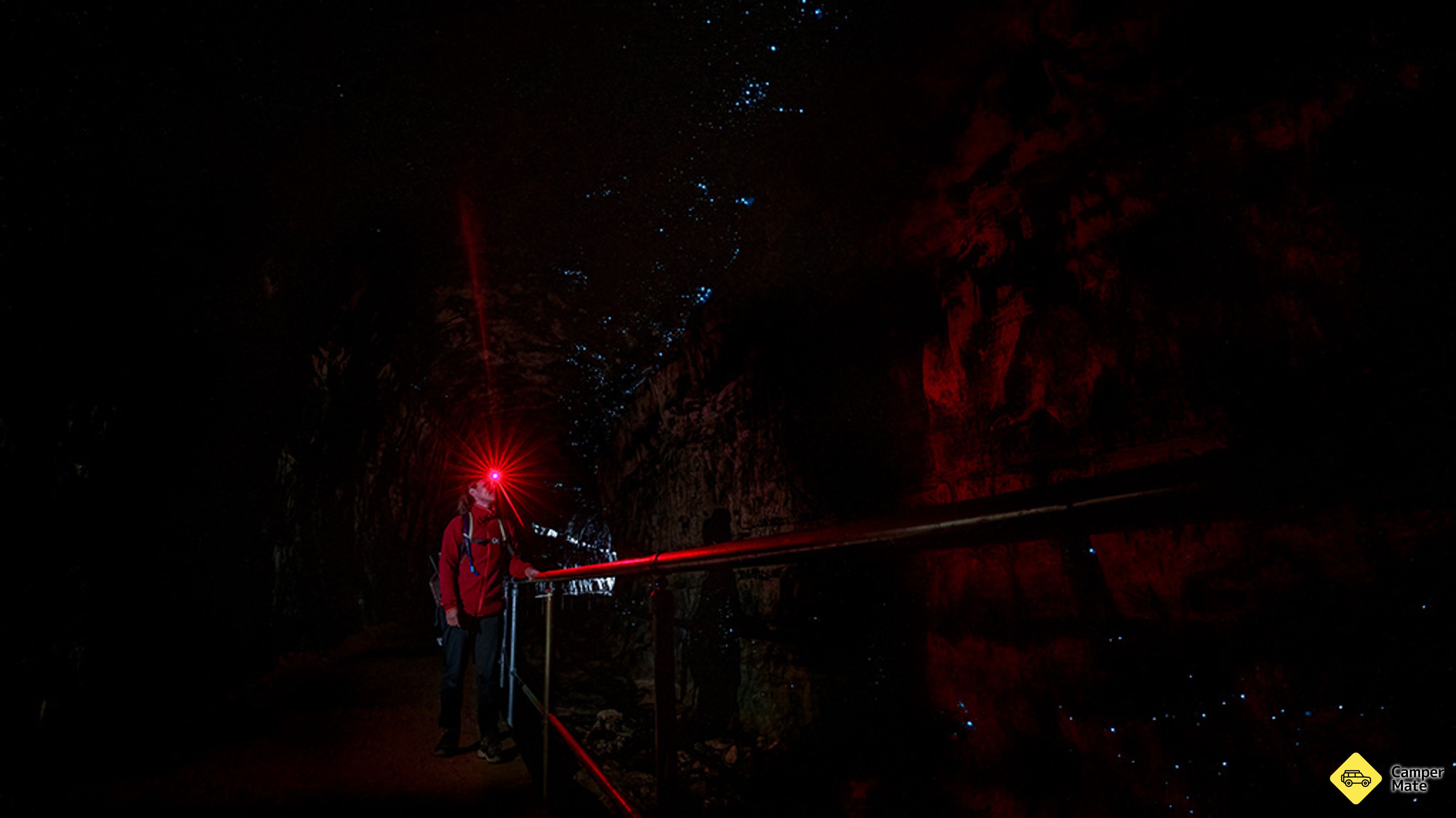 Glow Worm Tunnel