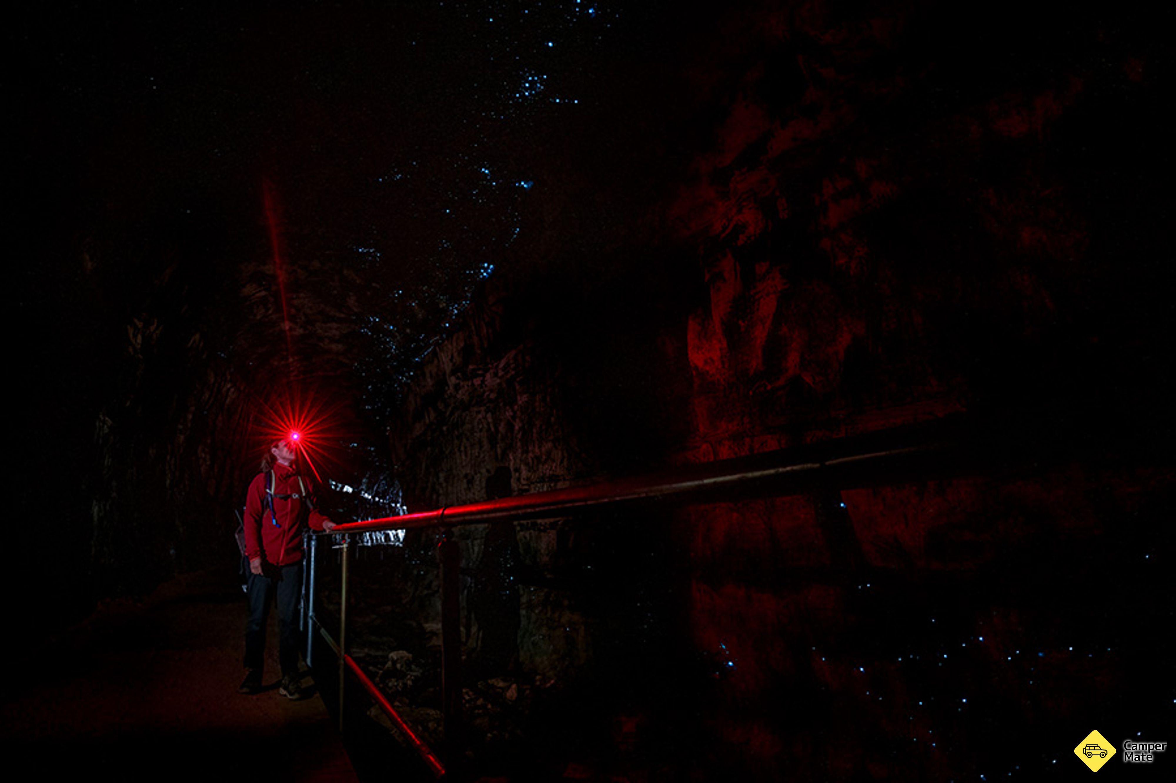 Glow Worm Tunnel