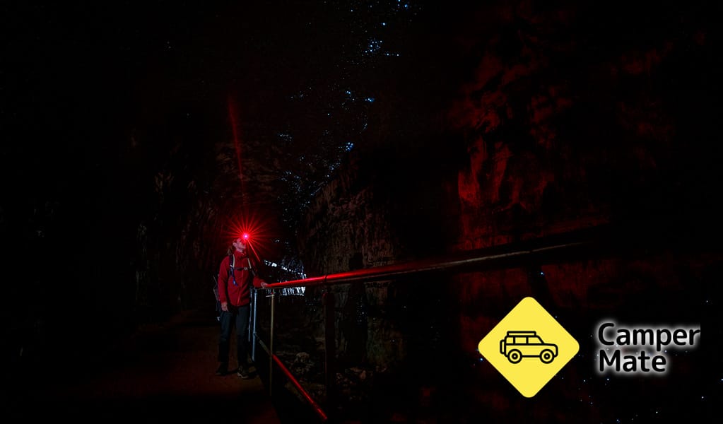 Glow Worm Tunnel