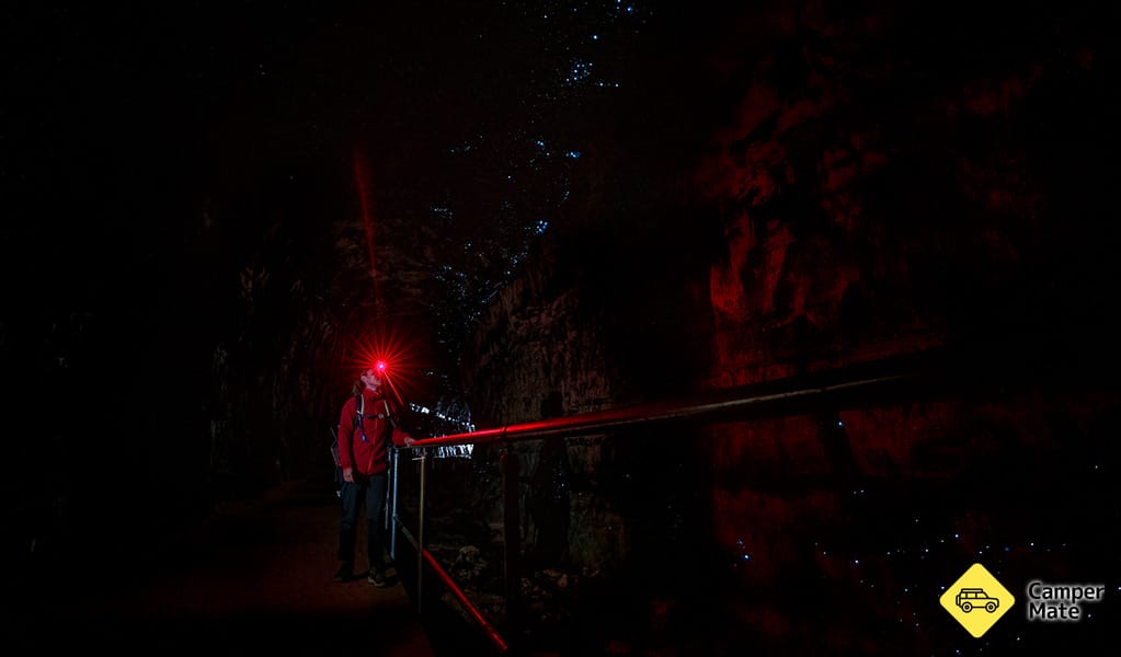 The Glow Worm Tunnel