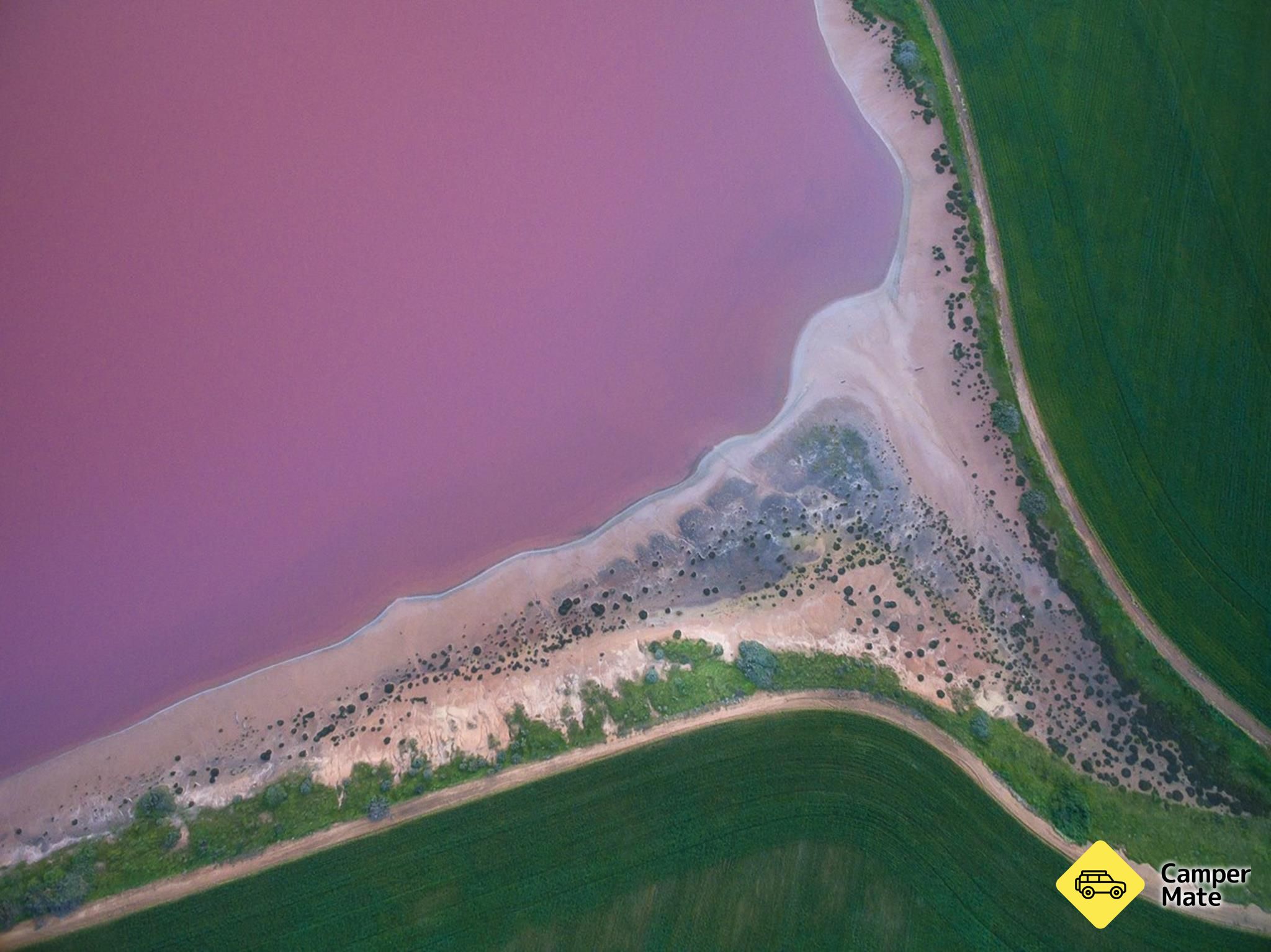 Danau Pink - Image 3