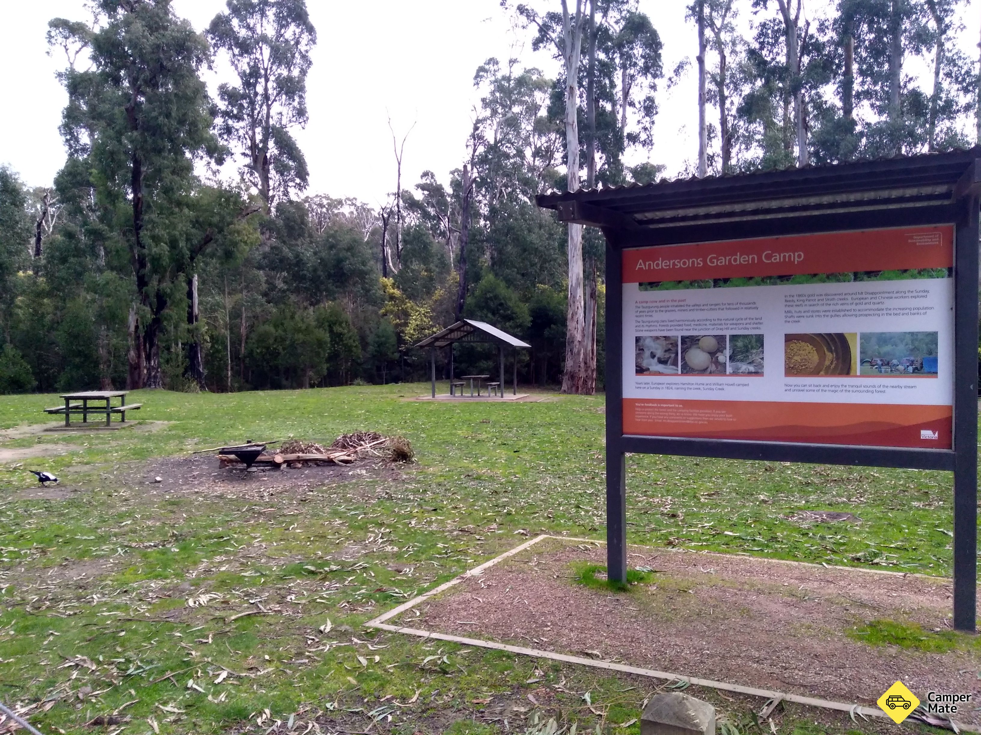 Andersons Garden - Mt Disappointment State Forest - Image 2