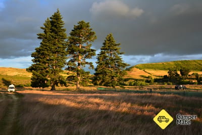 St Bathans Domain Campsite