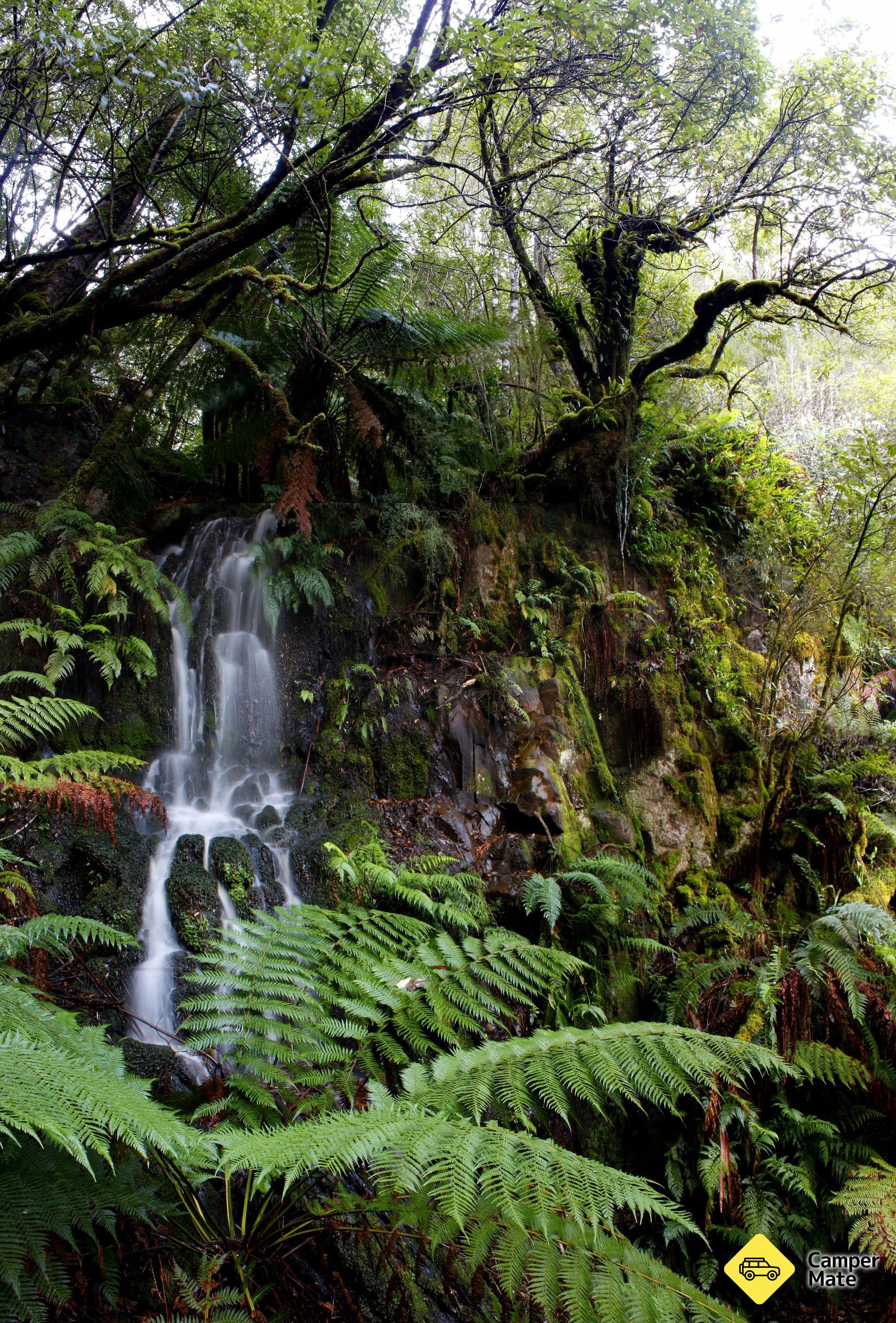 Mount Misery Walk - Image 2
