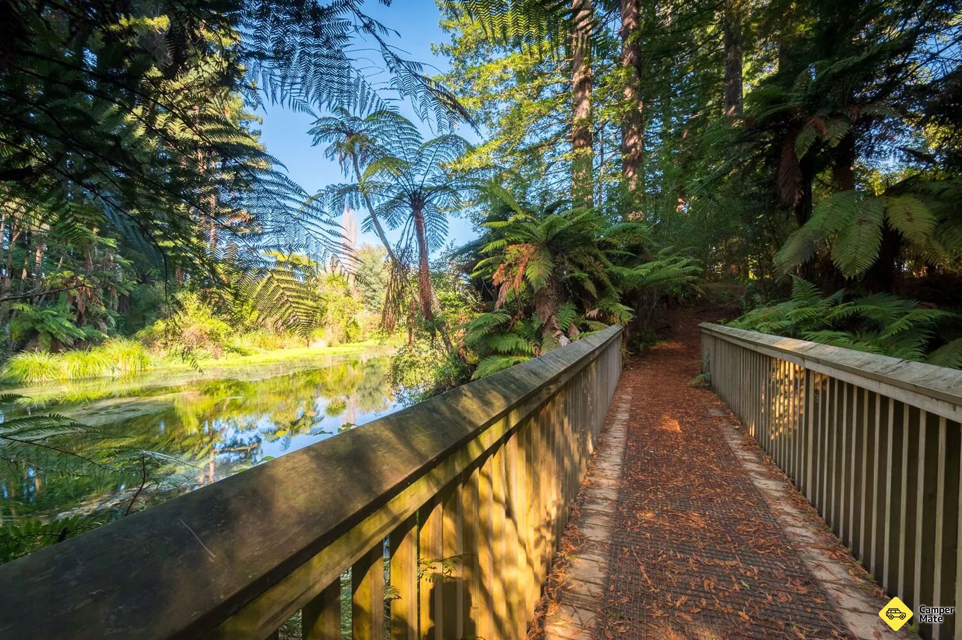 Vakantie Hamurana Springs - Image 2