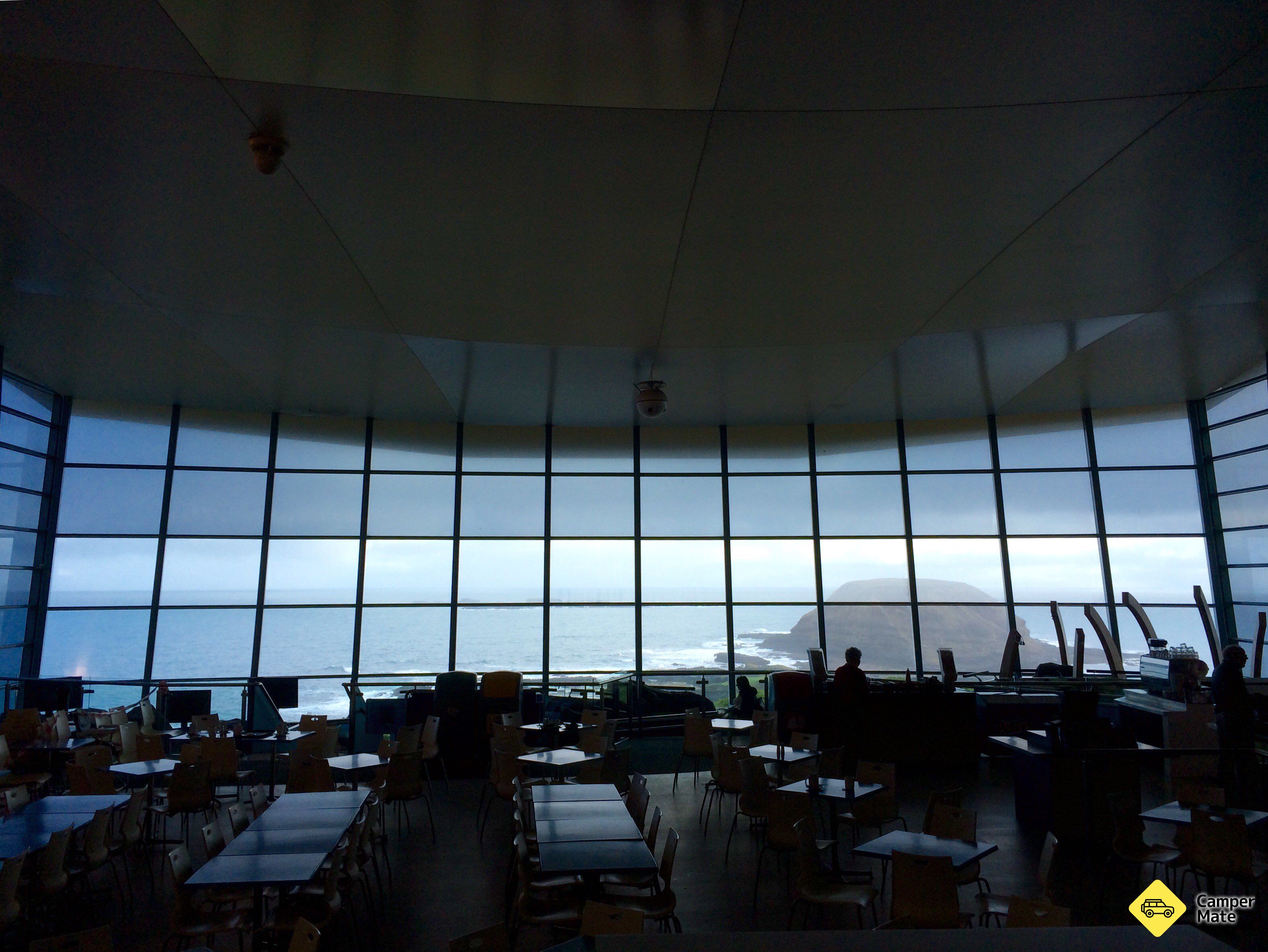 Antarctic Journey at the Nobbies