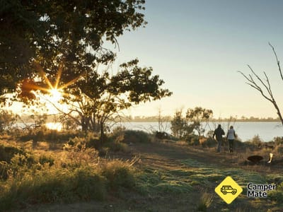 Yanga Lake Walking Track