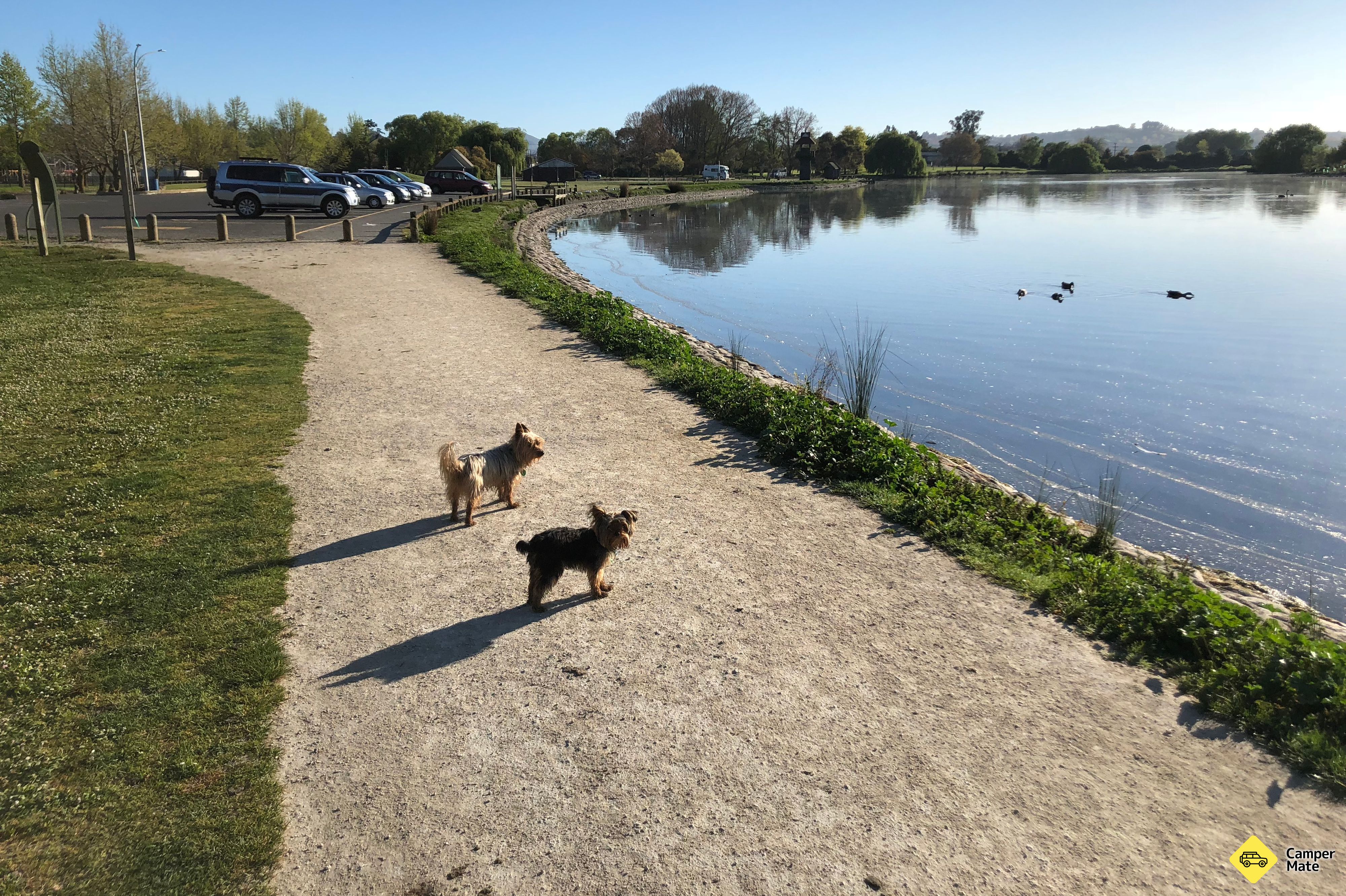 Henley Lake - Image 3
