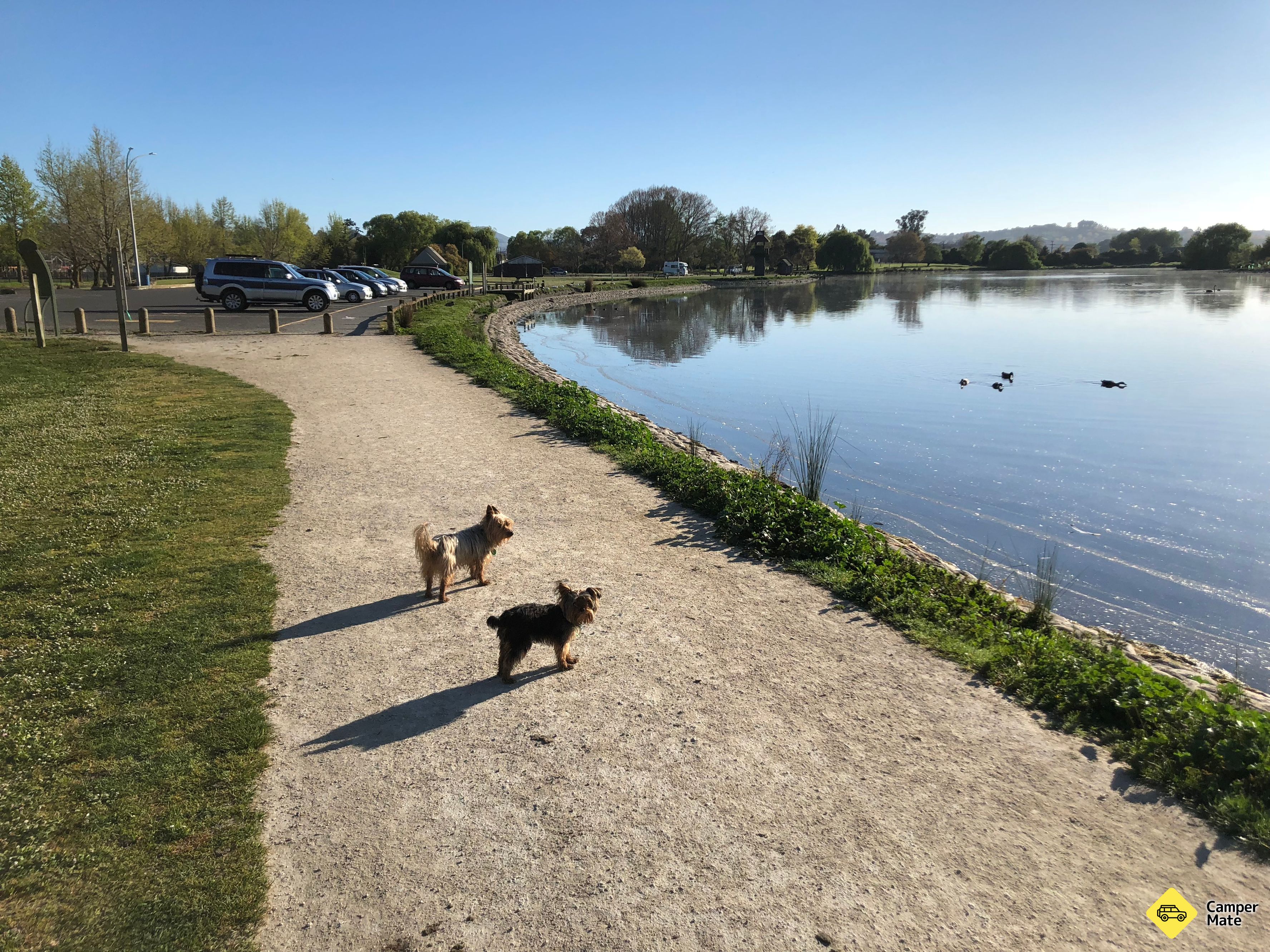 Henley Lake - Image 3
