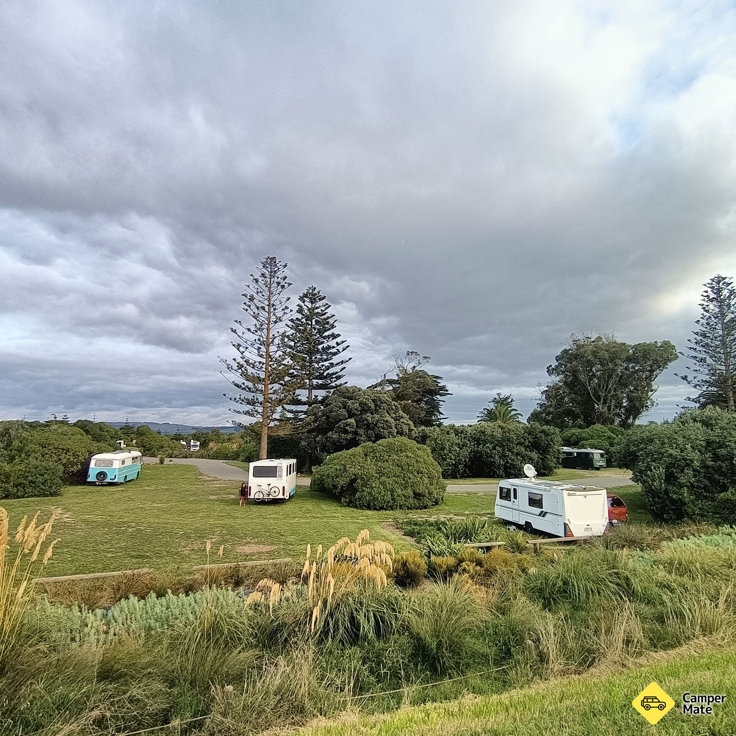 Haumoana Domain 
