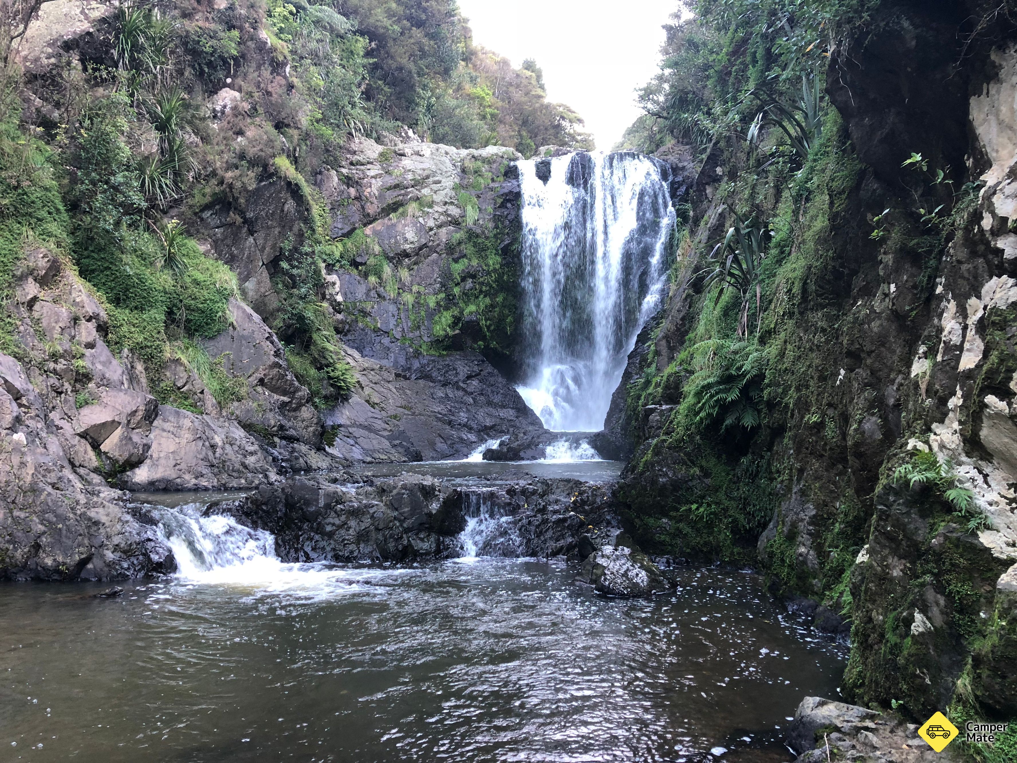 Waipu Gorge Reserve - Image 3