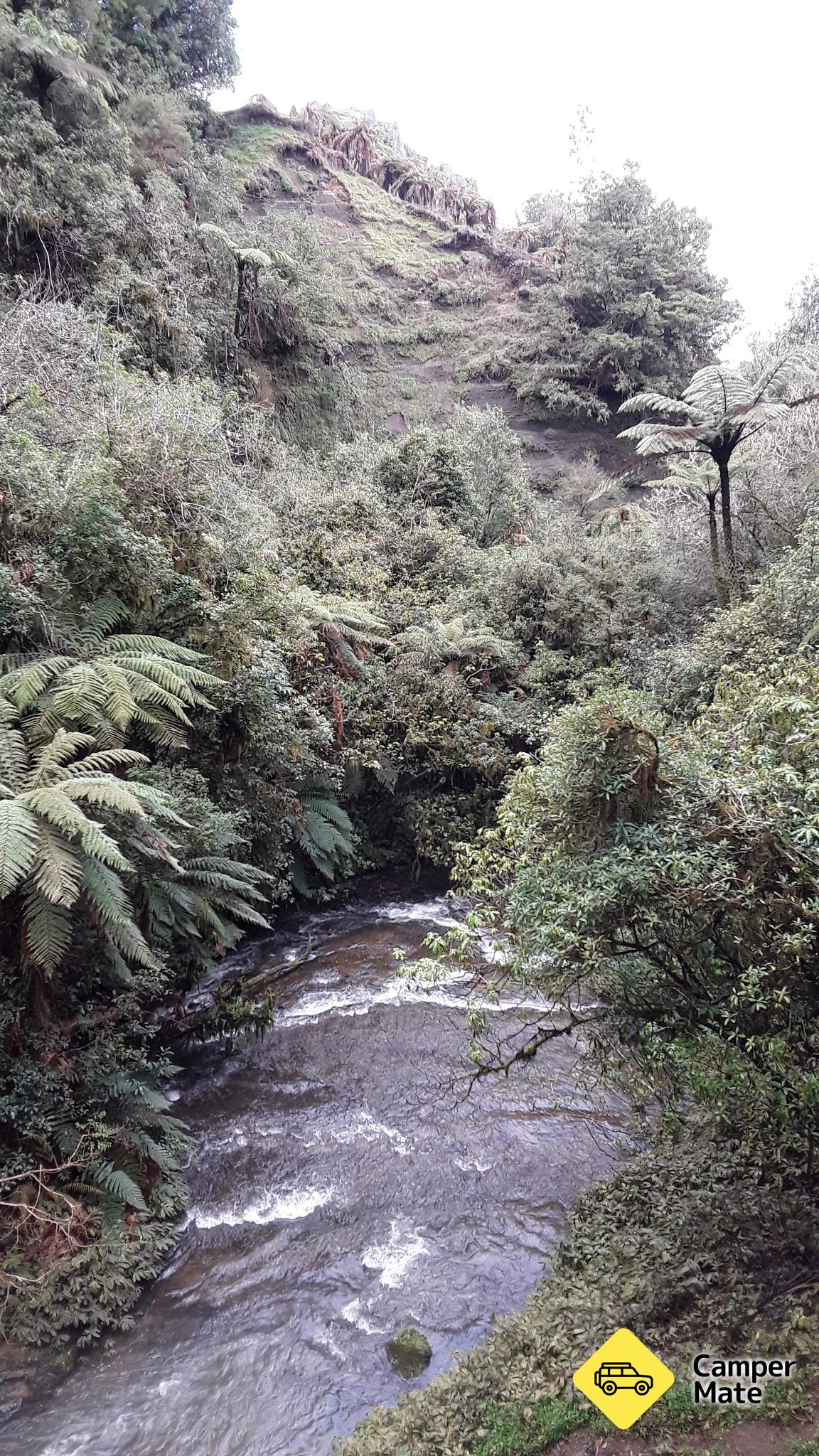 Waitanguru Falls - Image 2