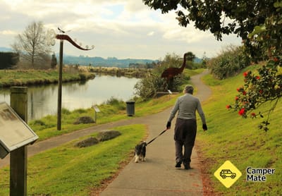Katikati Bird Walk Trail