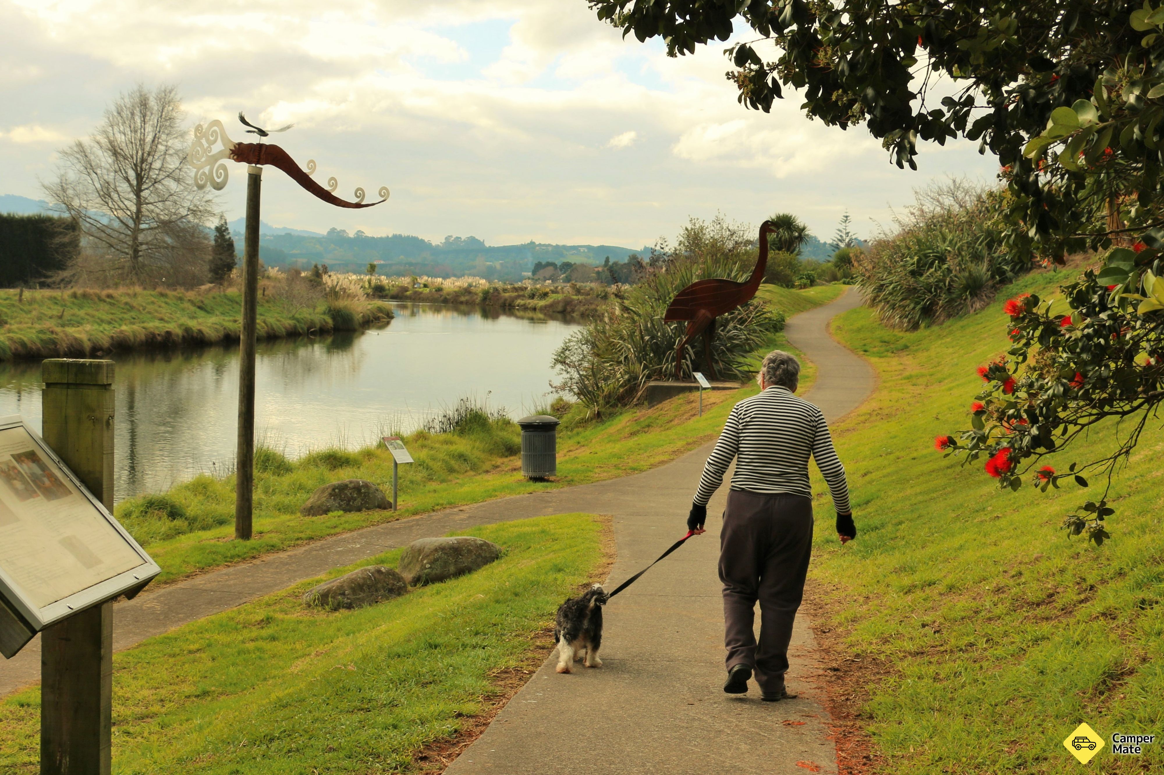 Katikati Bird Walk Trail