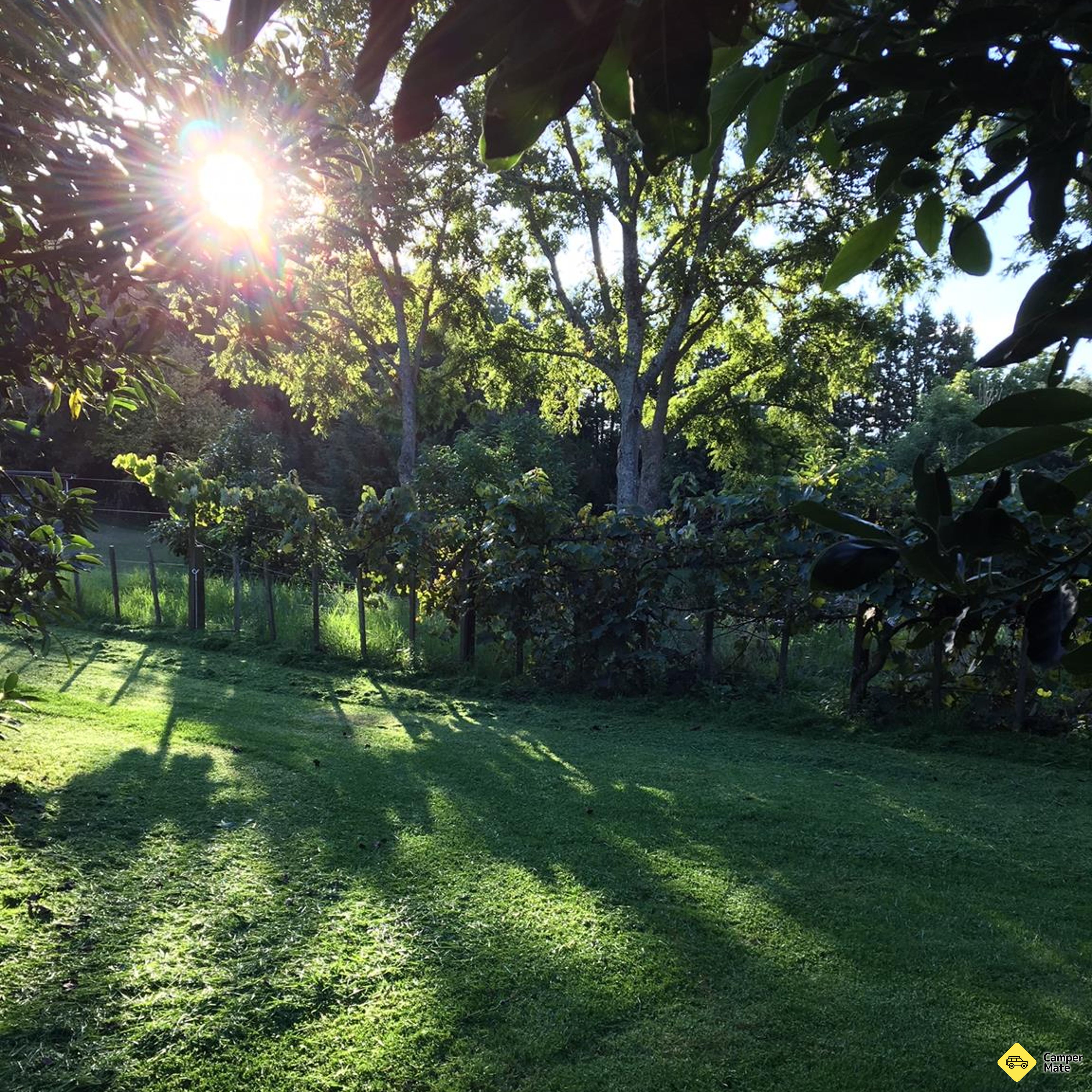 Baybell Orchard Driveway - Image 2
