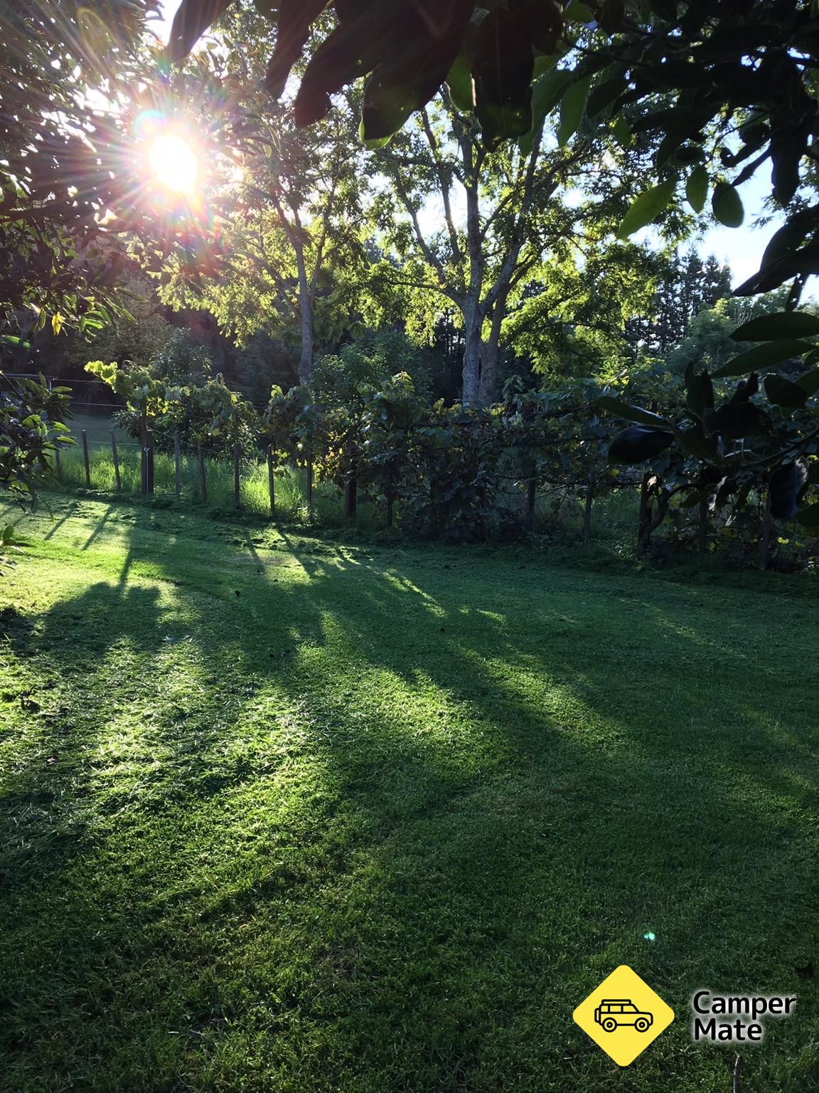 Baybell Orchard Driveway - Image 2