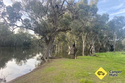 Mulberrygong Reserve