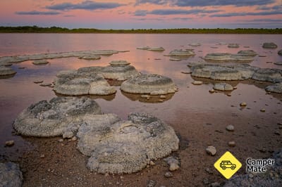 Søen Thetis Stromatolites