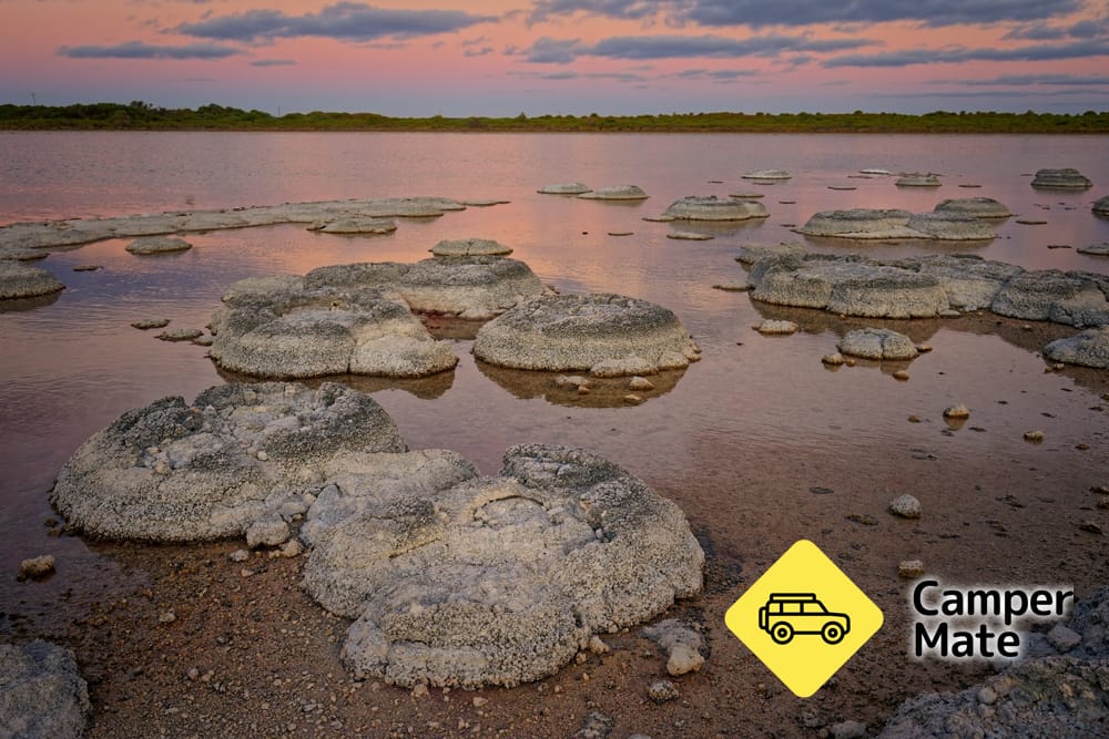 Søen Thetis Stromatolites