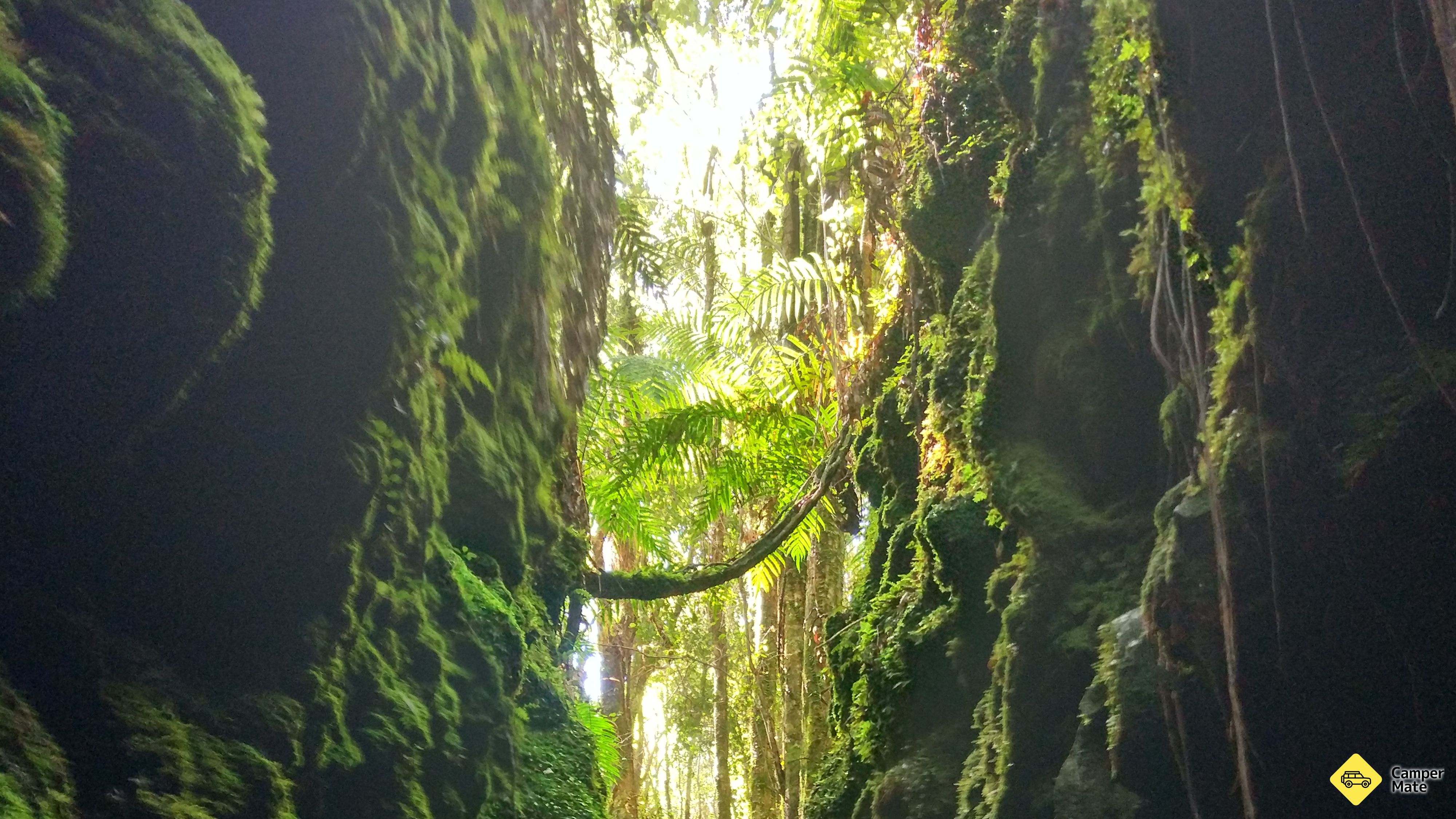 Blue Spur Bushwalk Hakkında