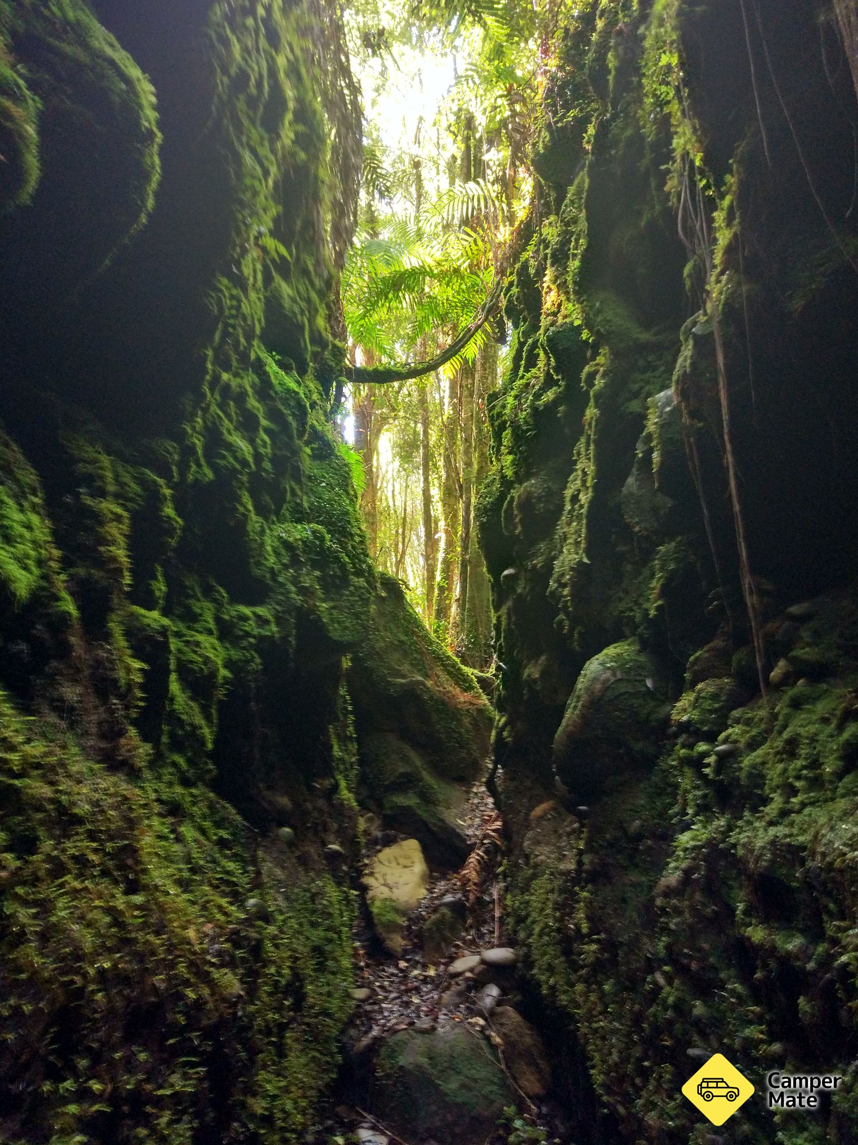 Következő Blue Spur Bushwalk