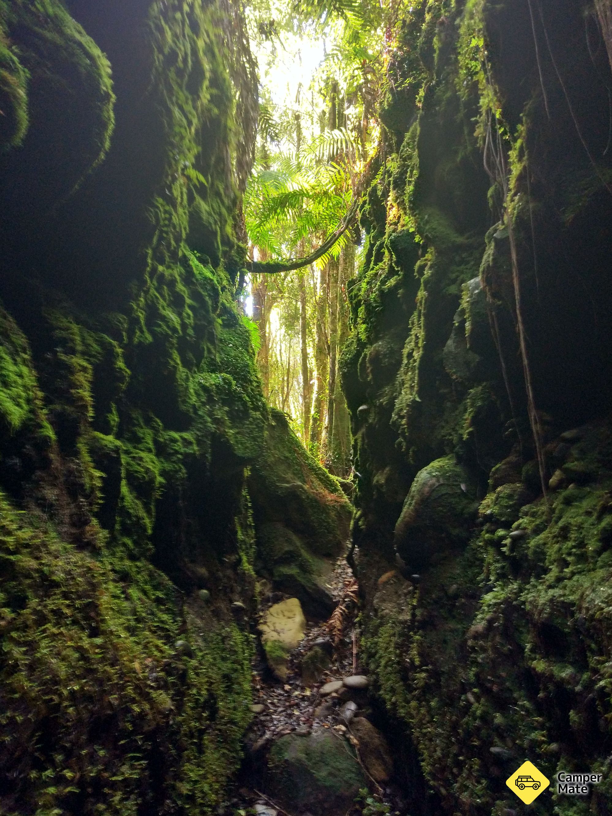 Blue Spur Bushwalk