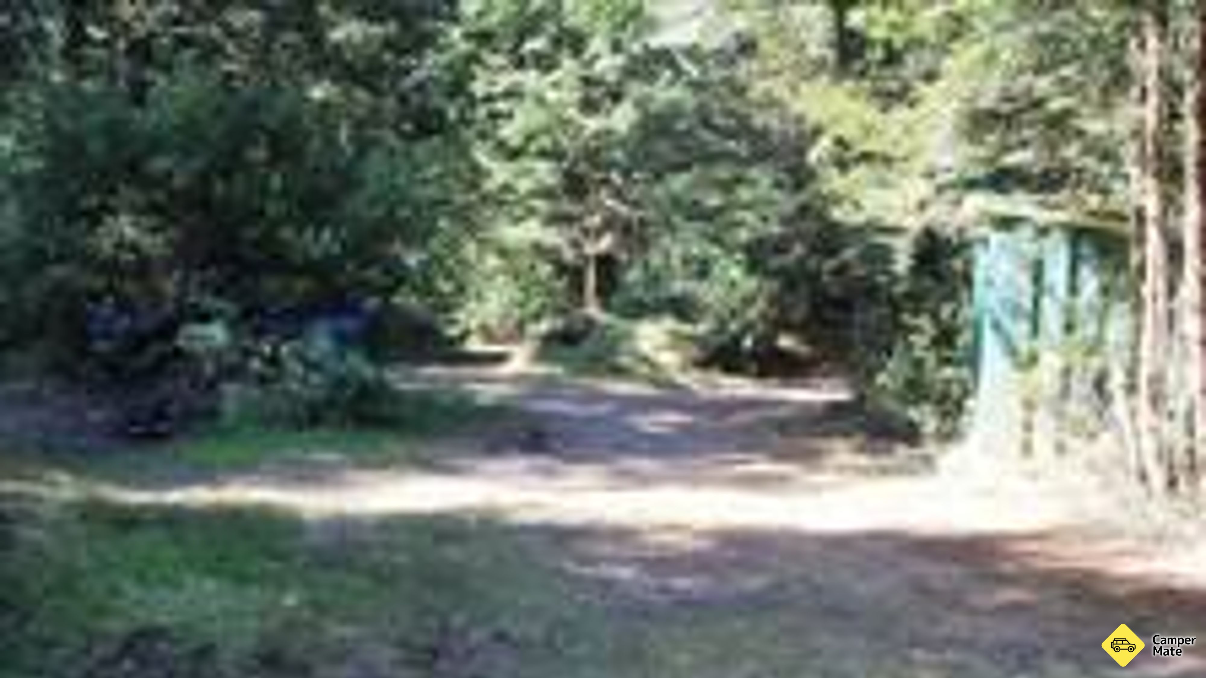 Army Road Campsite