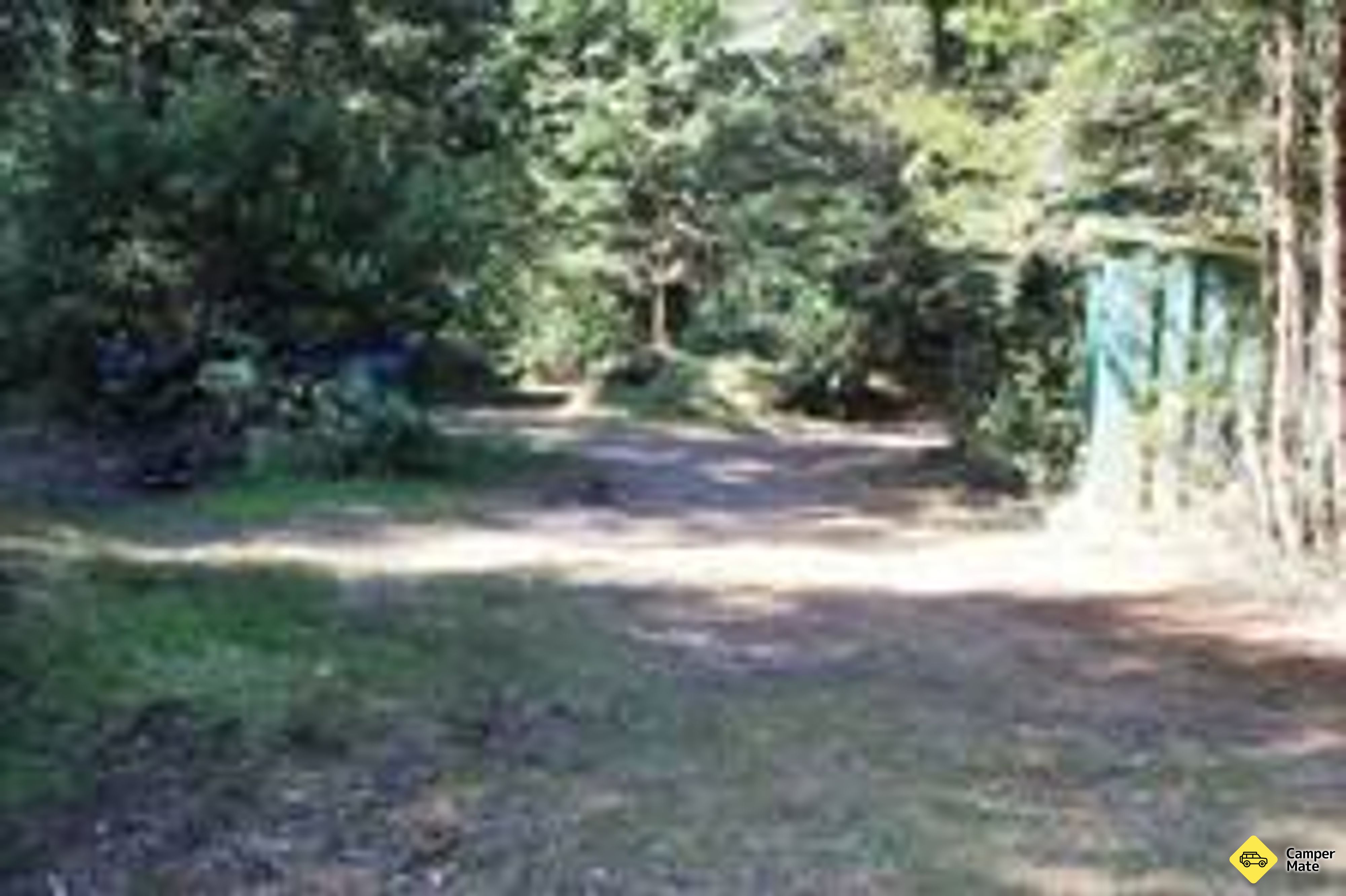 Army Road Campsite