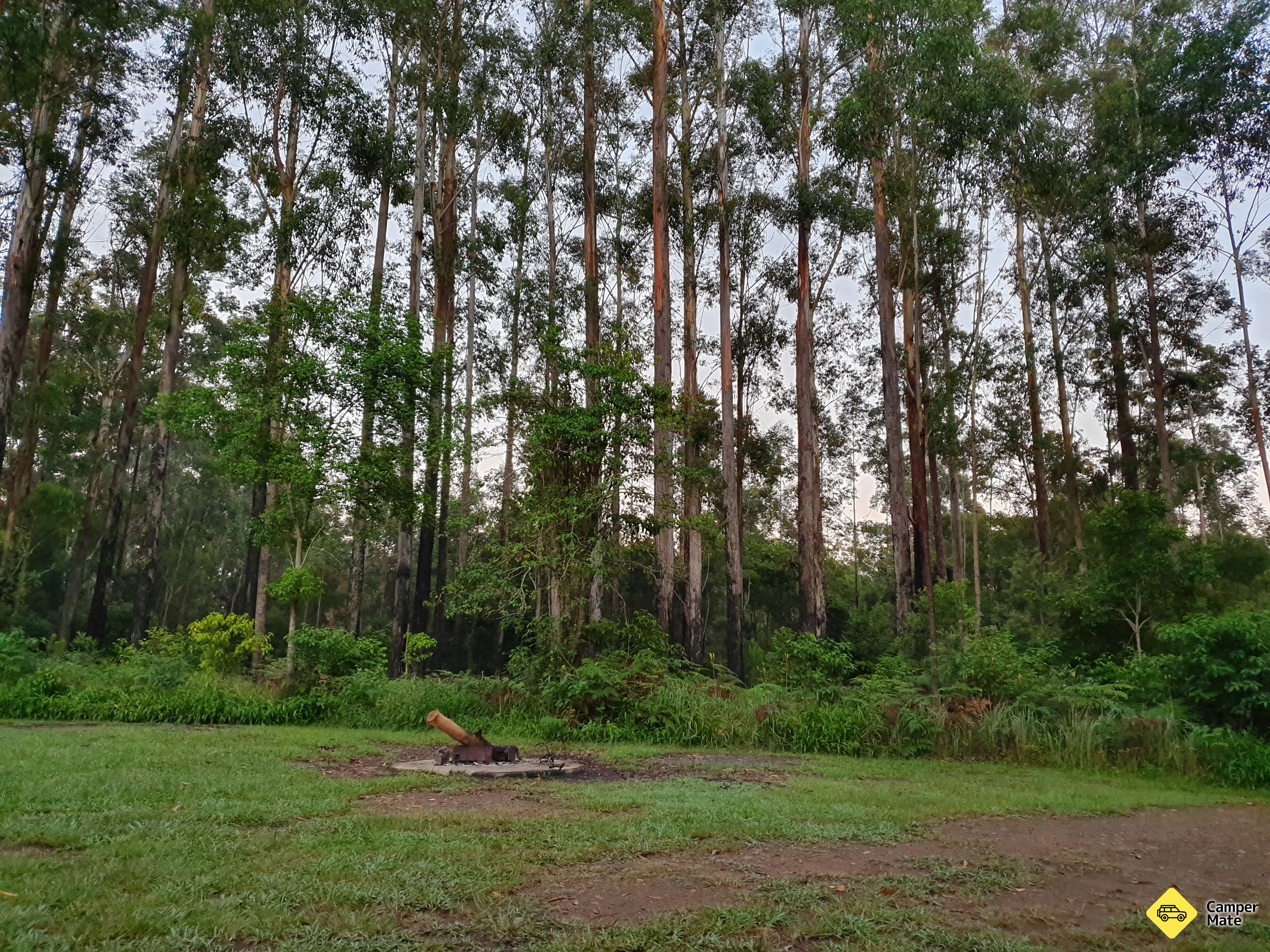 Coopernook Forest Park Camp Area - Image 3