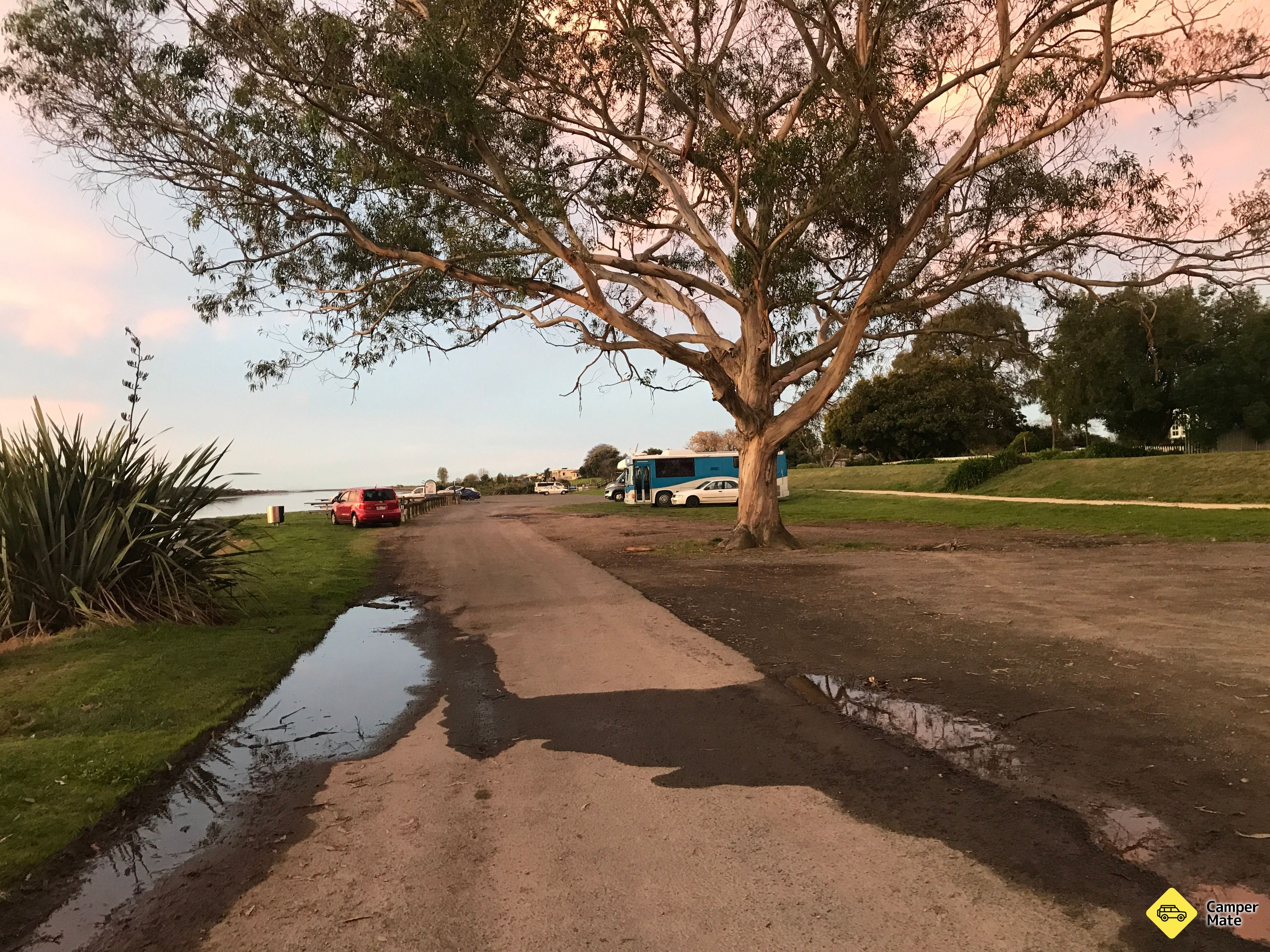 Evers-Swindell Reserve - Image 3