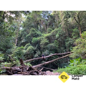 Lokasi: Manna Gum Camp