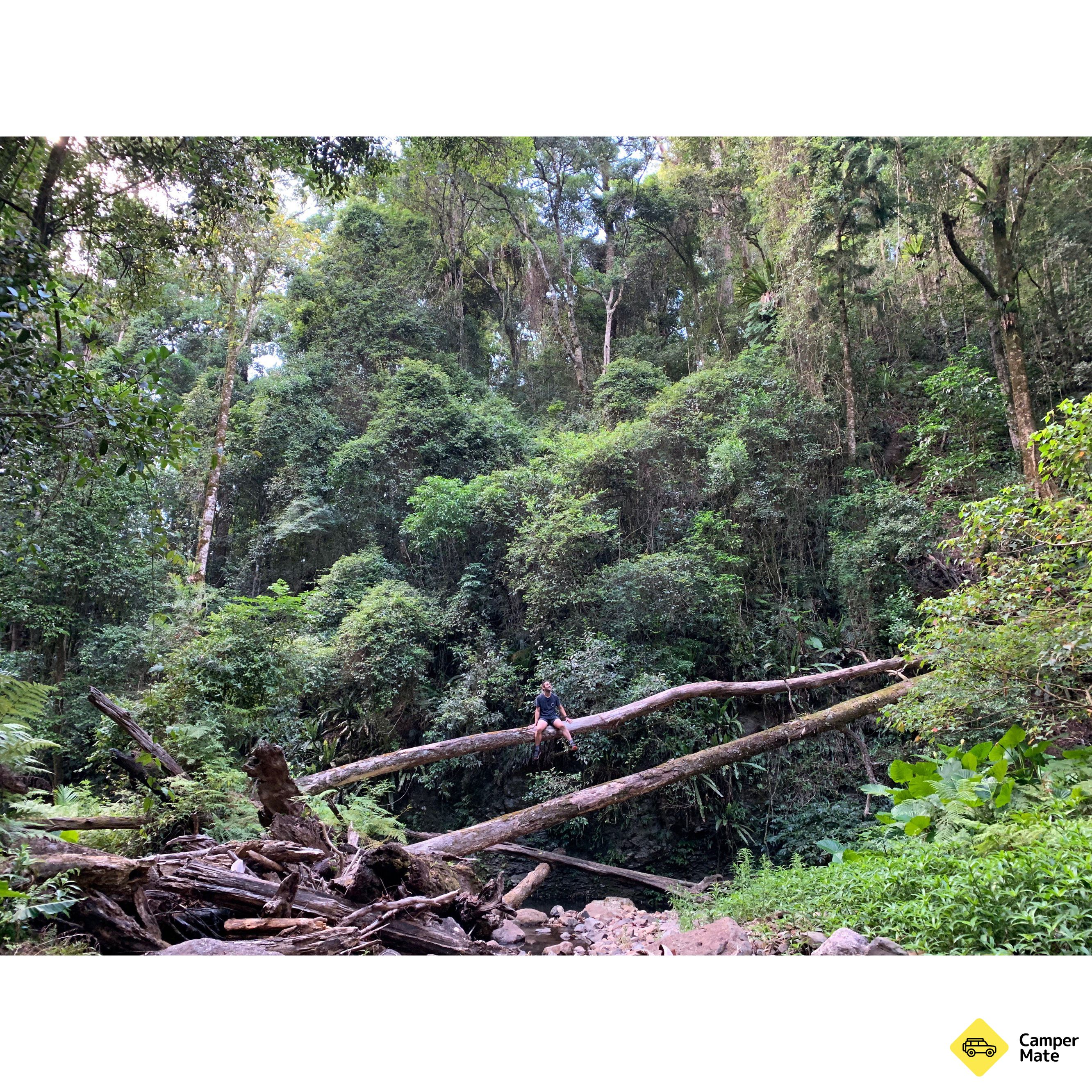 Lokasi: Manna Gum Camp