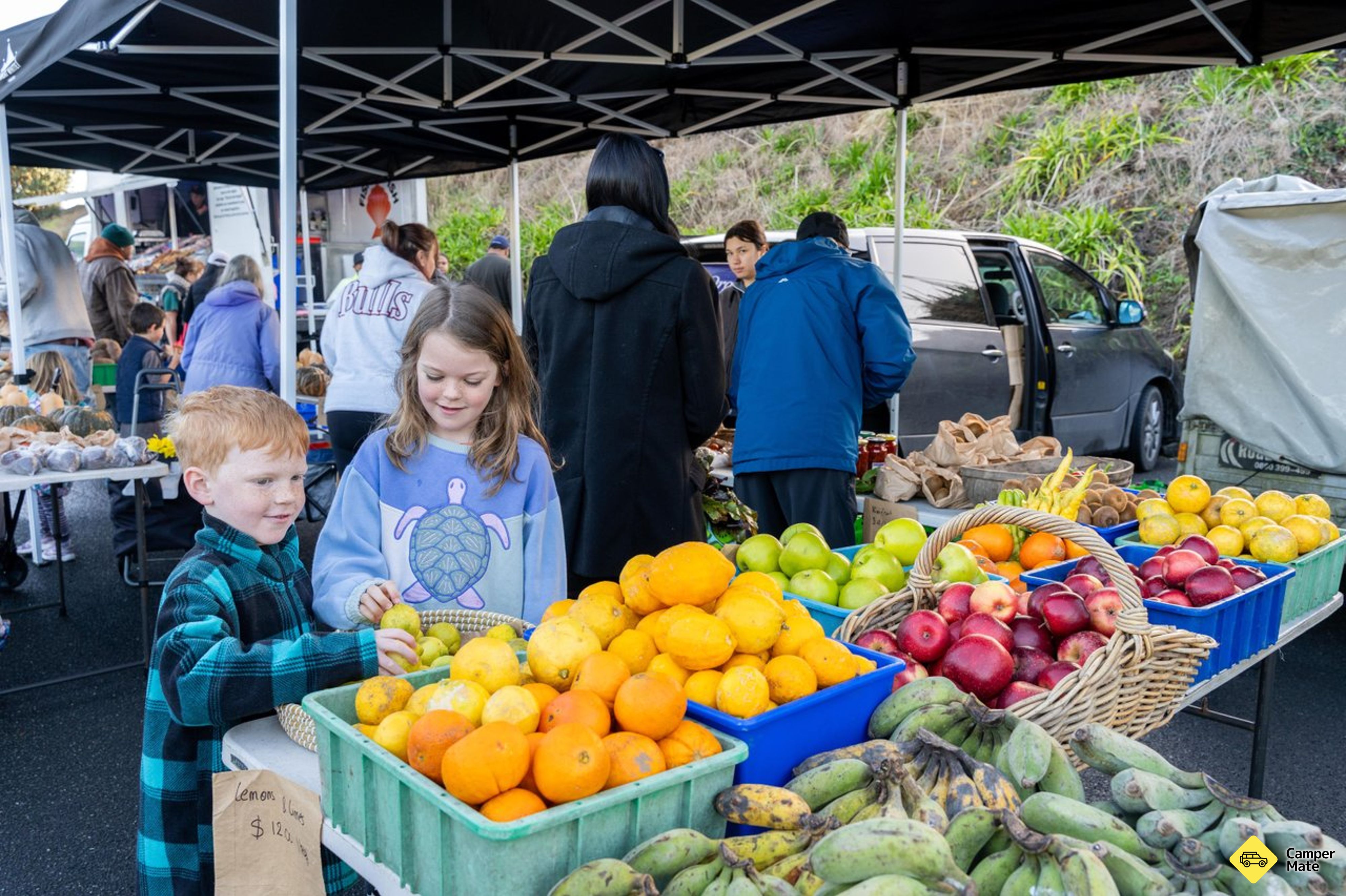 Whangarei Growers marked - Image 2
