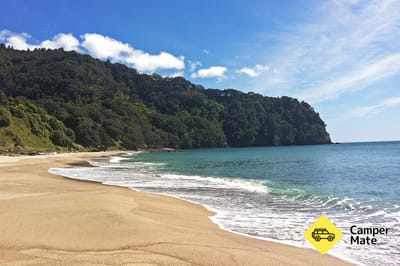 Orokawa Scenic Reserve Track 부근의 호텔
