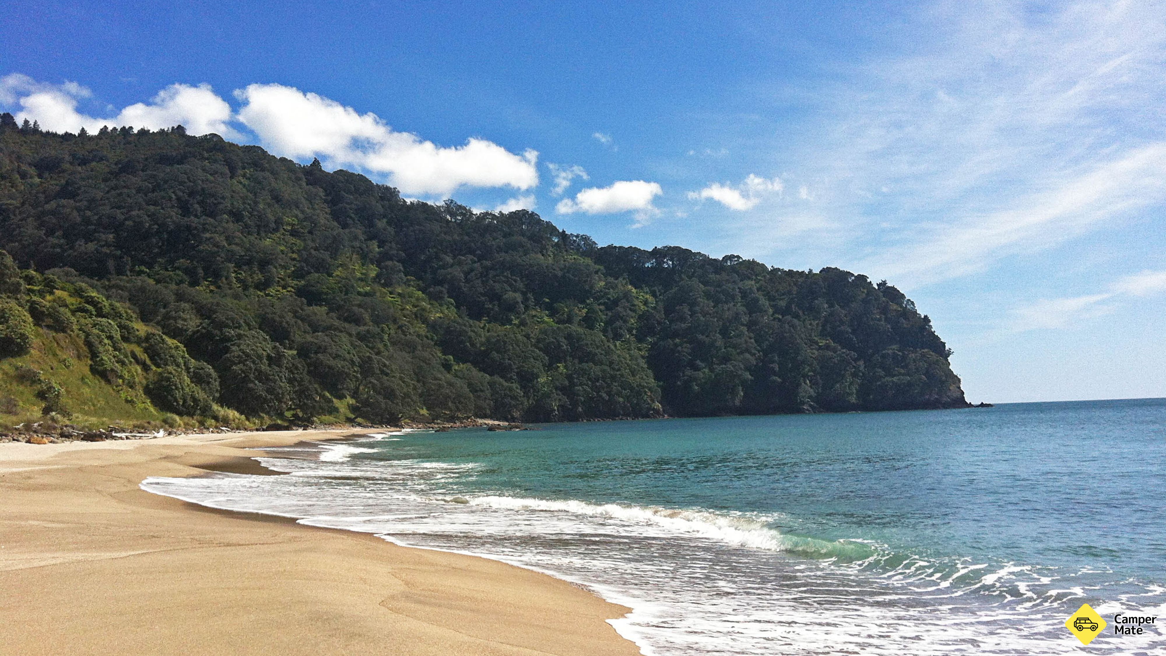 Tempat wisata di Orokawa Scenic Reserve Track